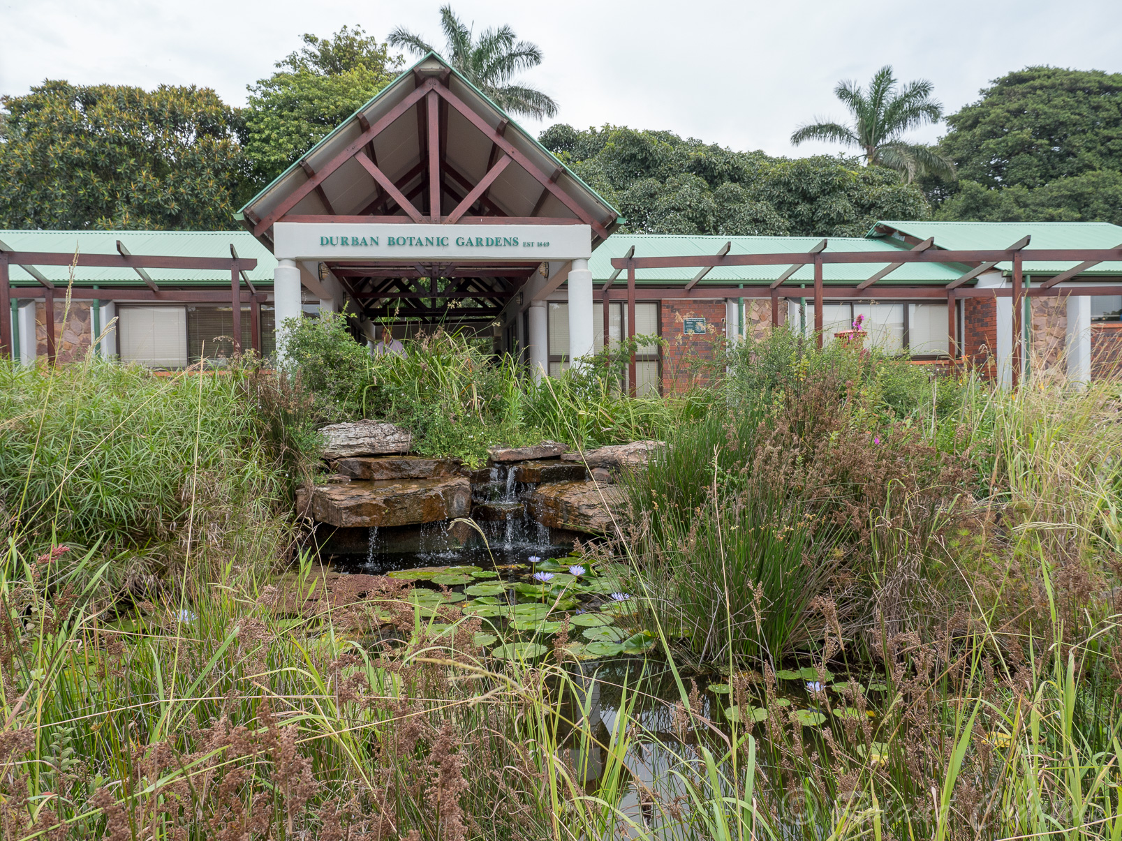 Jardins botaniques de Durban.