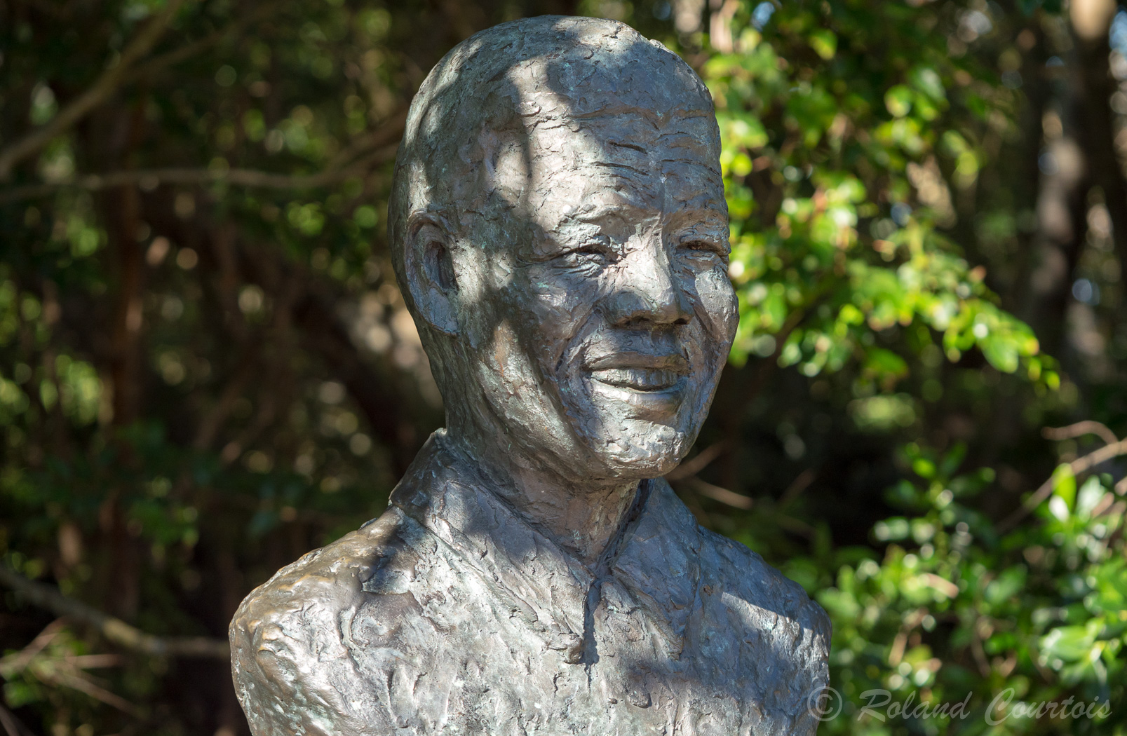 Buste de Nalson Mandela dans le jardin du Kirstenbosch
