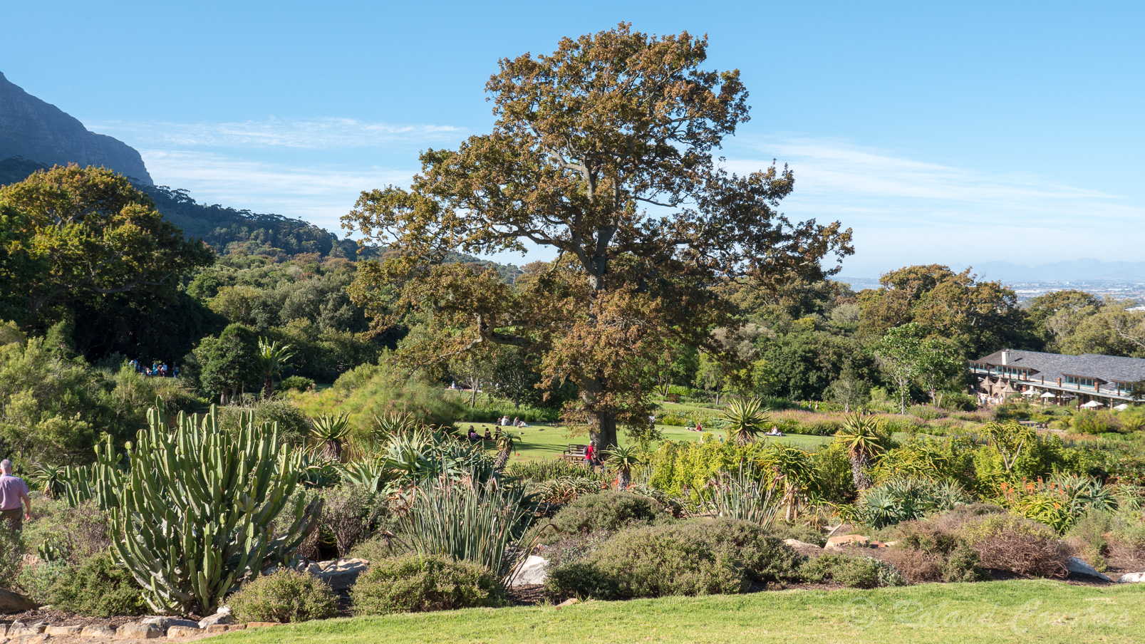 Le Jardin Botanique de Kirstenbosch offre de magnifiques espaces verts à proximité de la  ville.