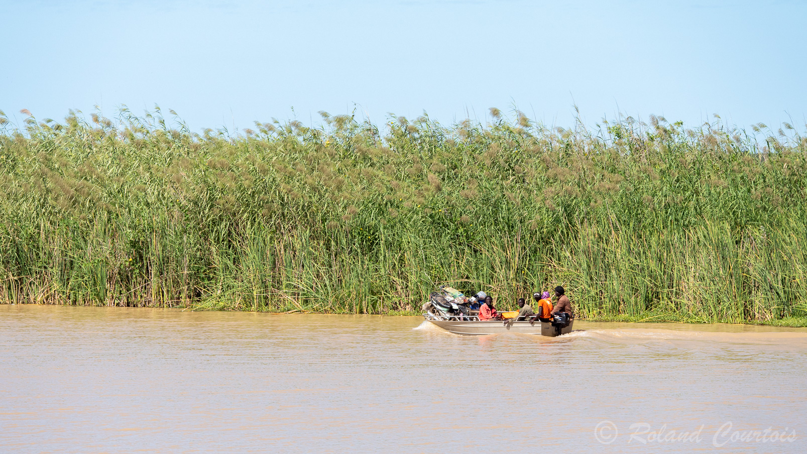 Les rives du fleuve sont occupées par d'immenses plantations de canne à sucre.