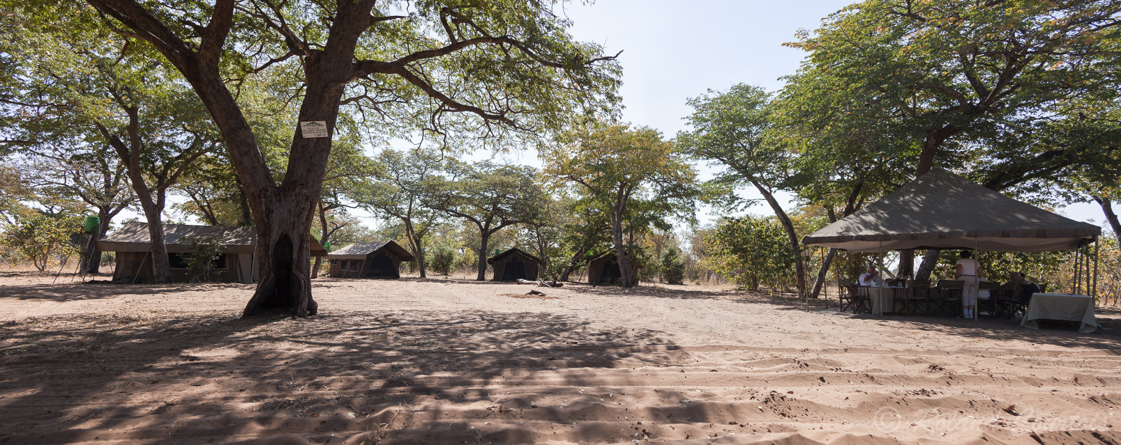 Après un petit vol, voici le camp de tentes de Chobe Under Canvas, point de départ de très belles balades-safaris.