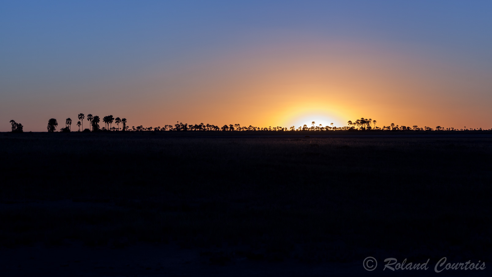 Coucher de soleil sur le Kalahari.