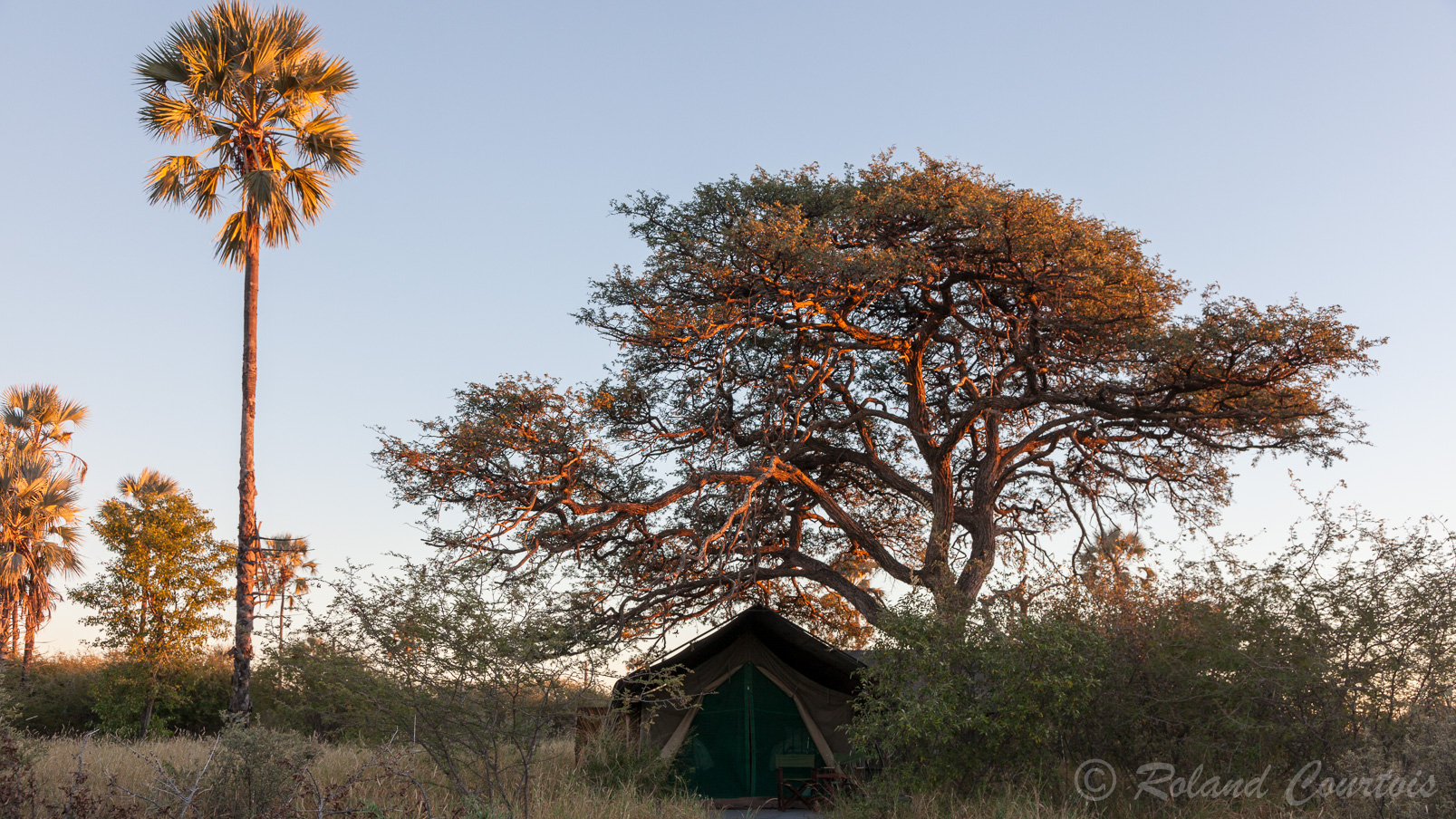 Au Kalahari Camp, il n'y a que quelques tentes....