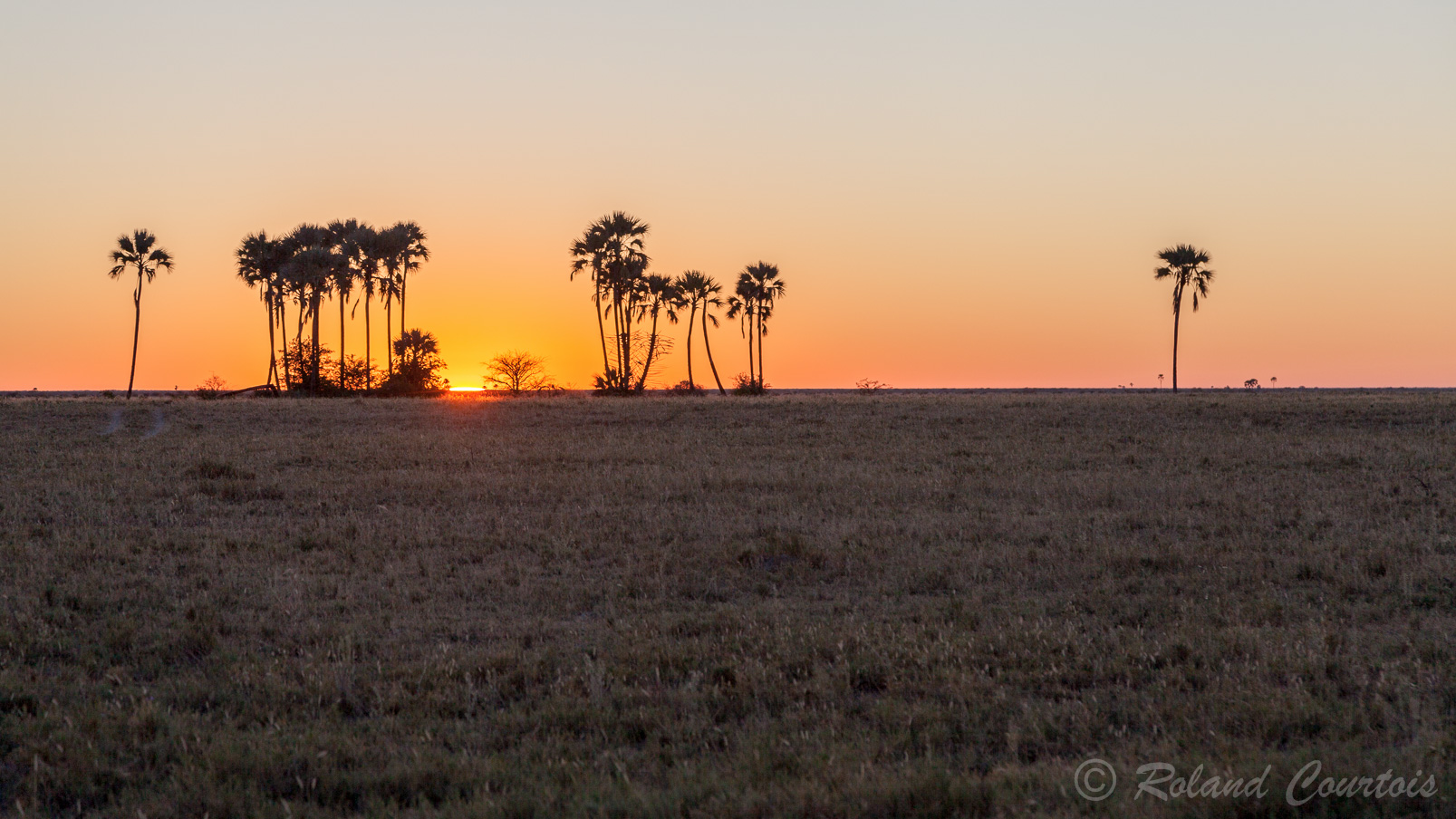 Le soleil se lève sur le Kalahari.