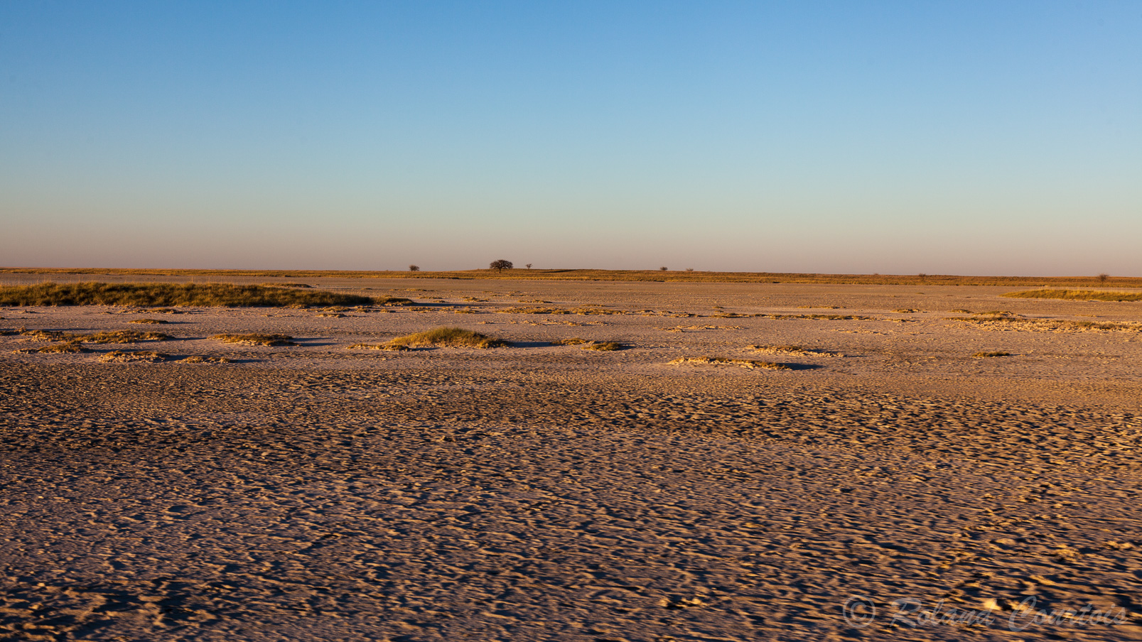 Petite balade dans le désert du Kalahari.