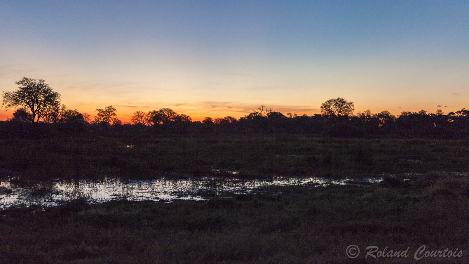 Coucher de soleil dans le delta de l'Okavango.
