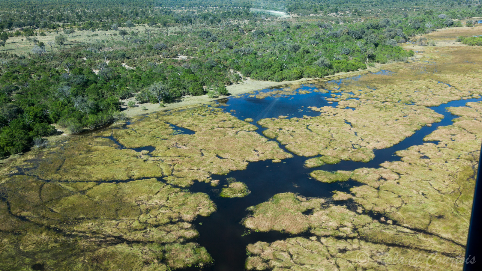 Un cours vol de 30 minutes au dessus de beaux paysages du delta de l'Okavango.