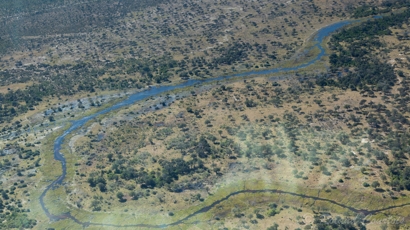 Un cours vol de 30 minutes au dessus de beaux paysages du delta de l'Okavango.