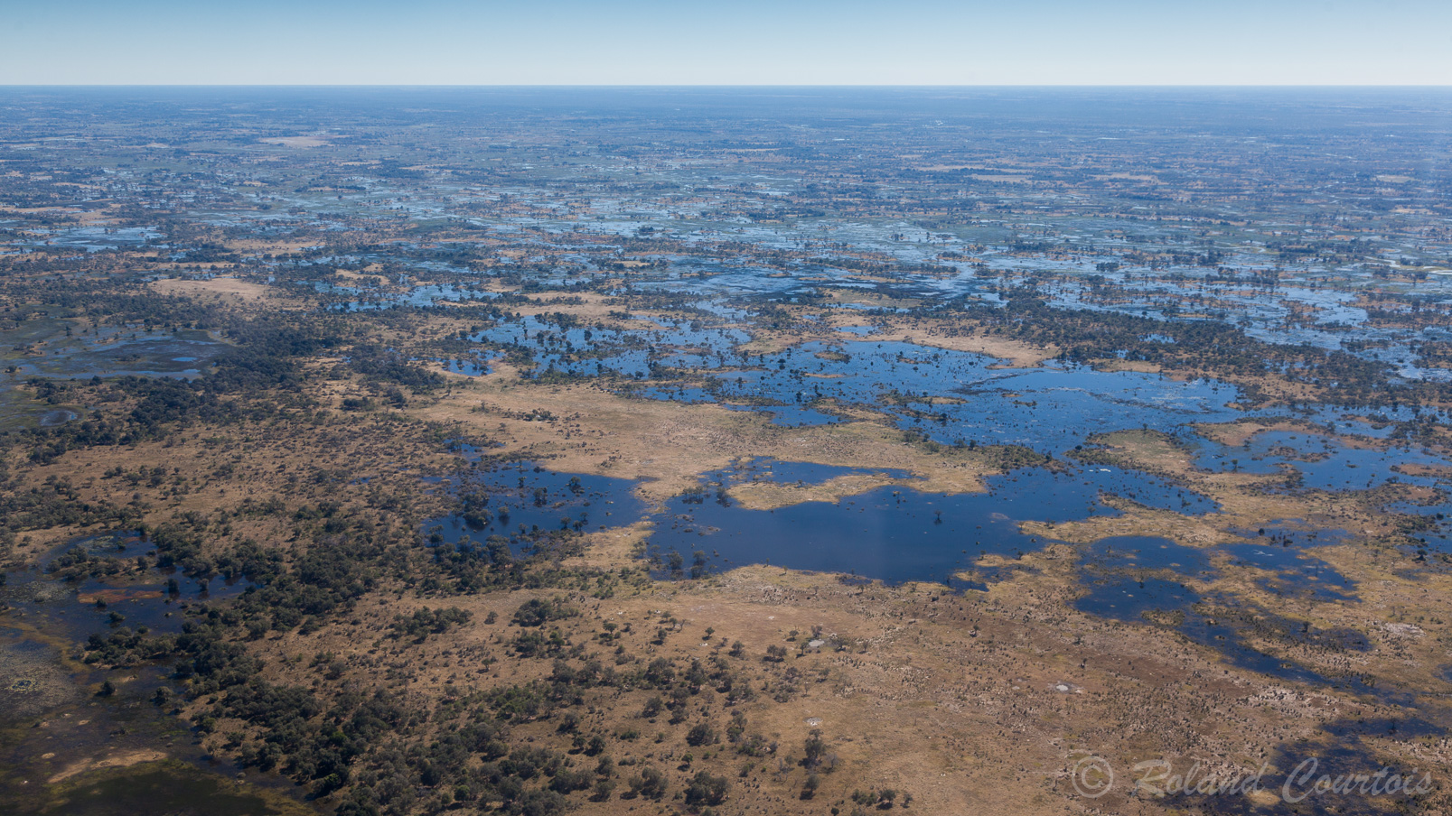 Le Delta de l'Okavango, une immensité humide.