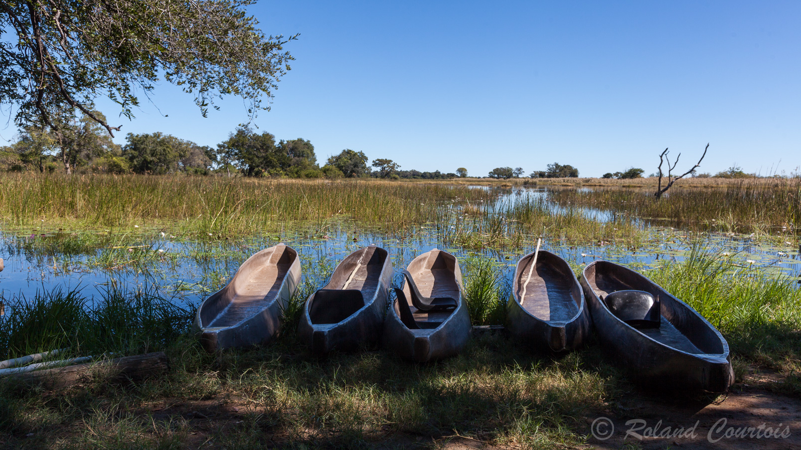 Une balade en canoës traditionnels, les "mokoro", pour approcher la vie  du Delta.