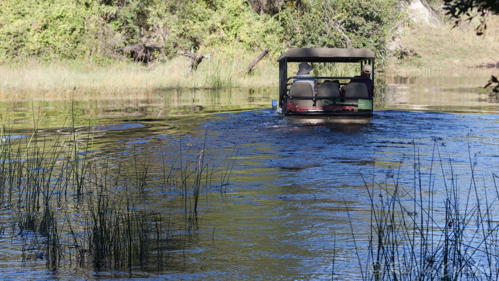 Départ pour un safari dans le delta de l'Okavango, ...