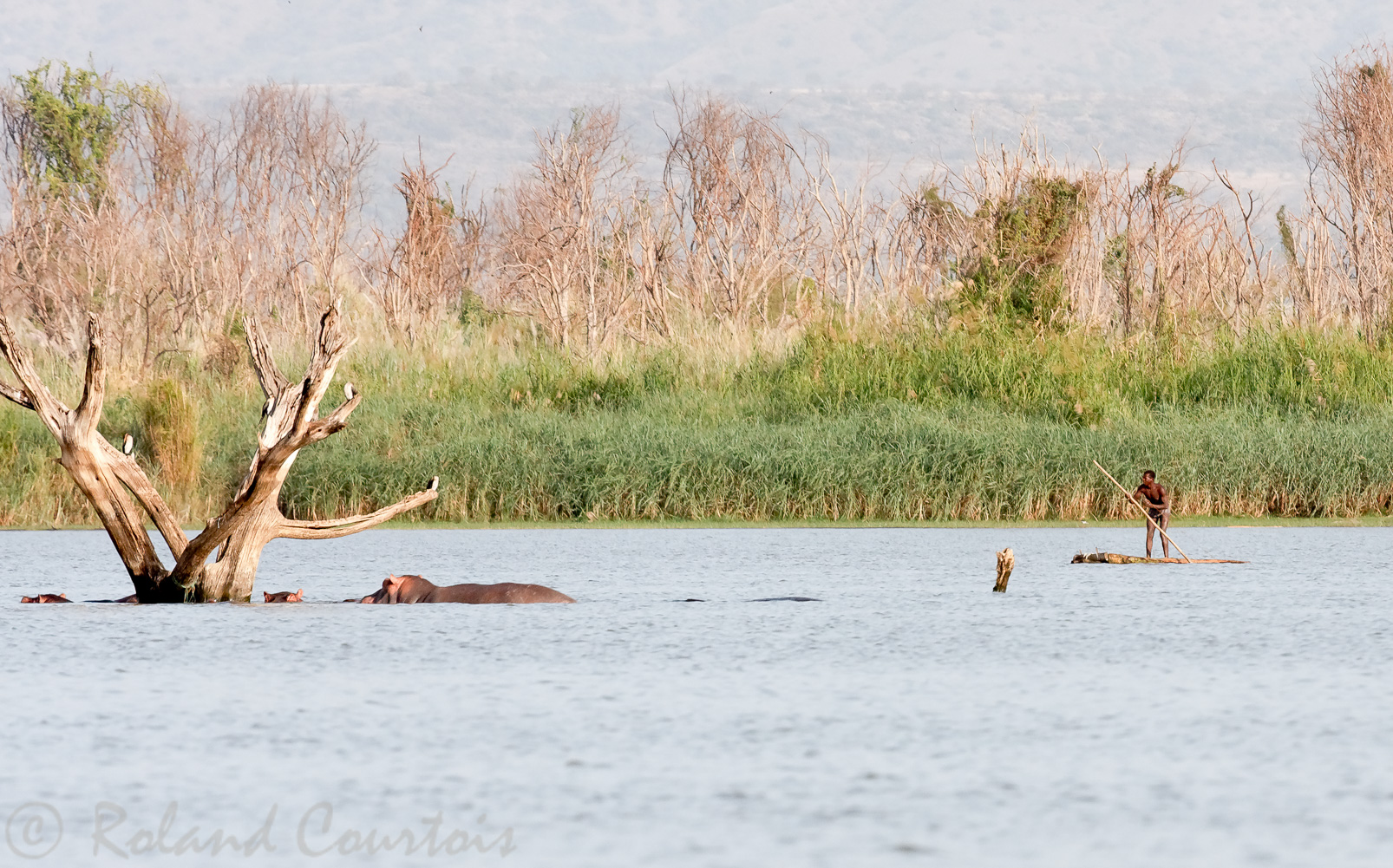 Pêcheur au lac Chamo au milieu des hippopotames