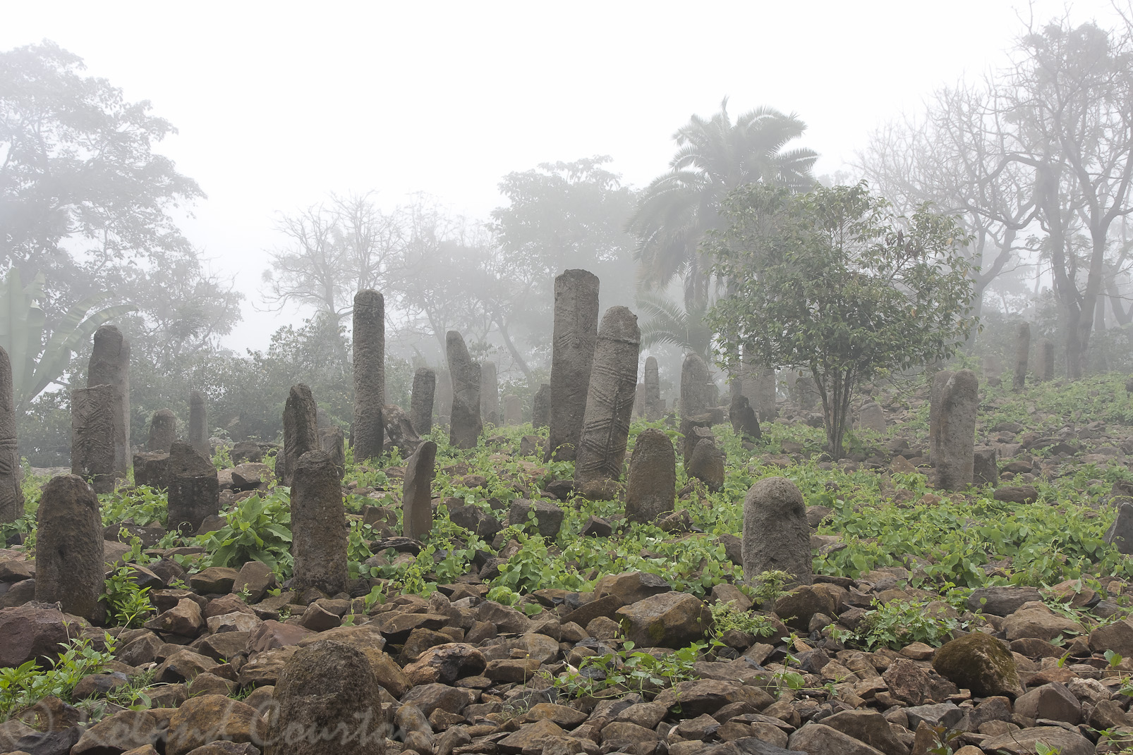 Site mégalithique de Tuto Fela