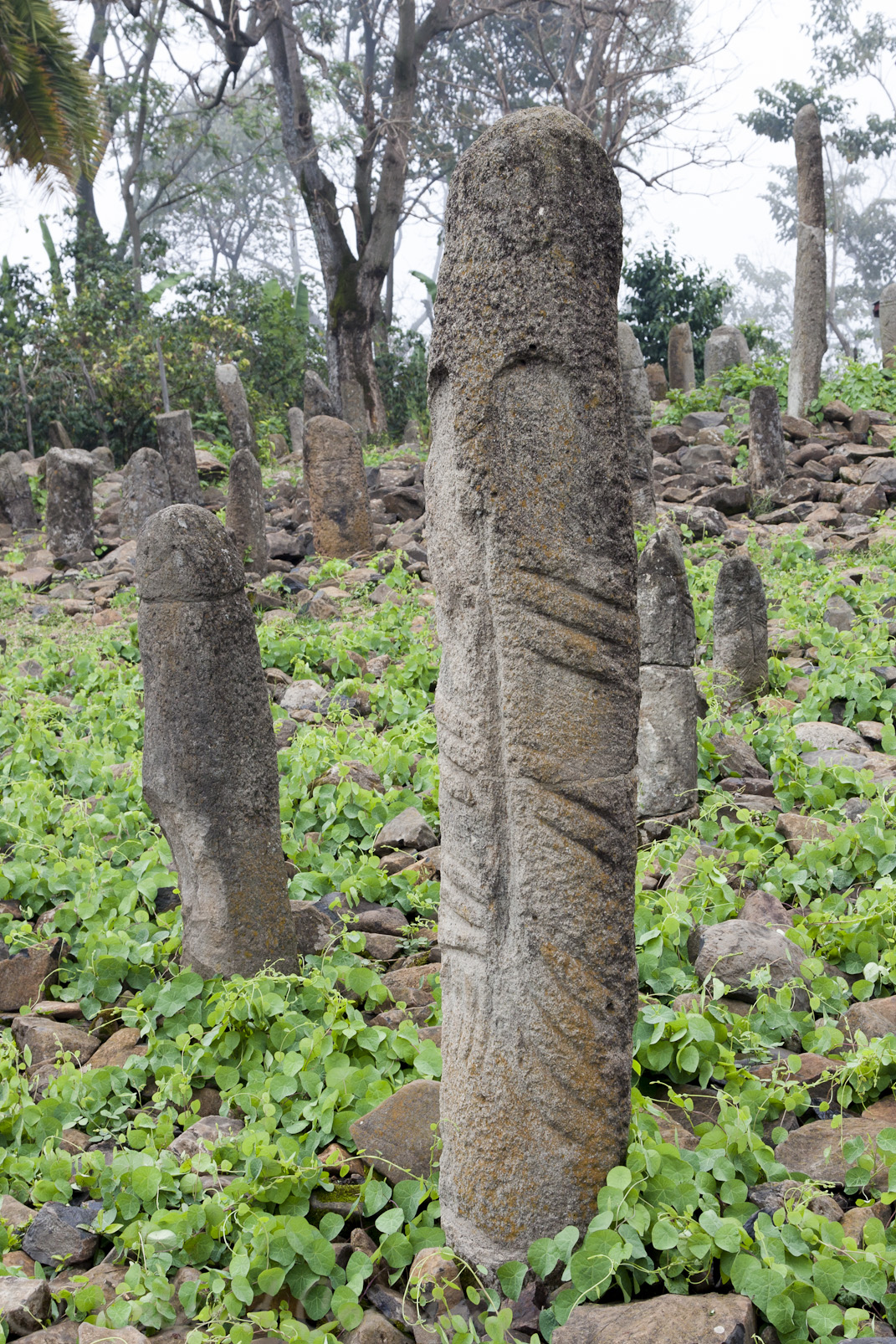 Stèles mégalithiques de Tuto Fela