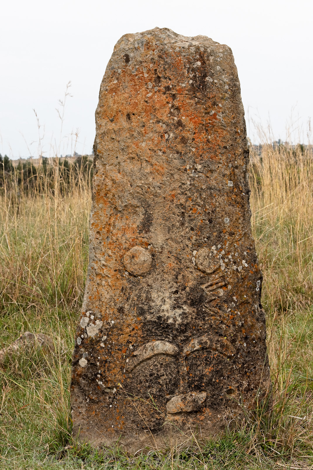 Les stèles mégalithiques de Tiya