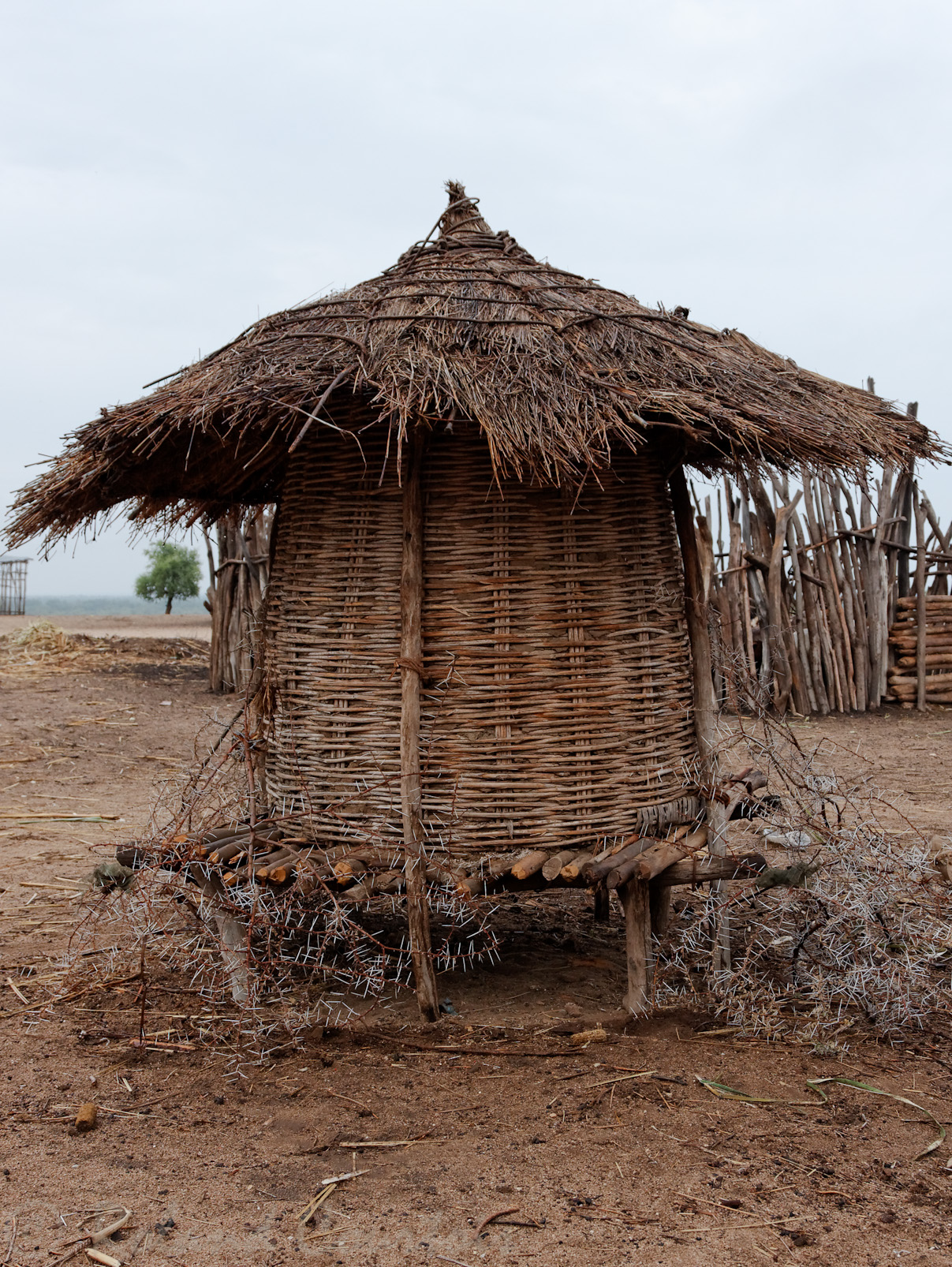 Village Karo, grenier à grains protégé avec des branches d'acacias