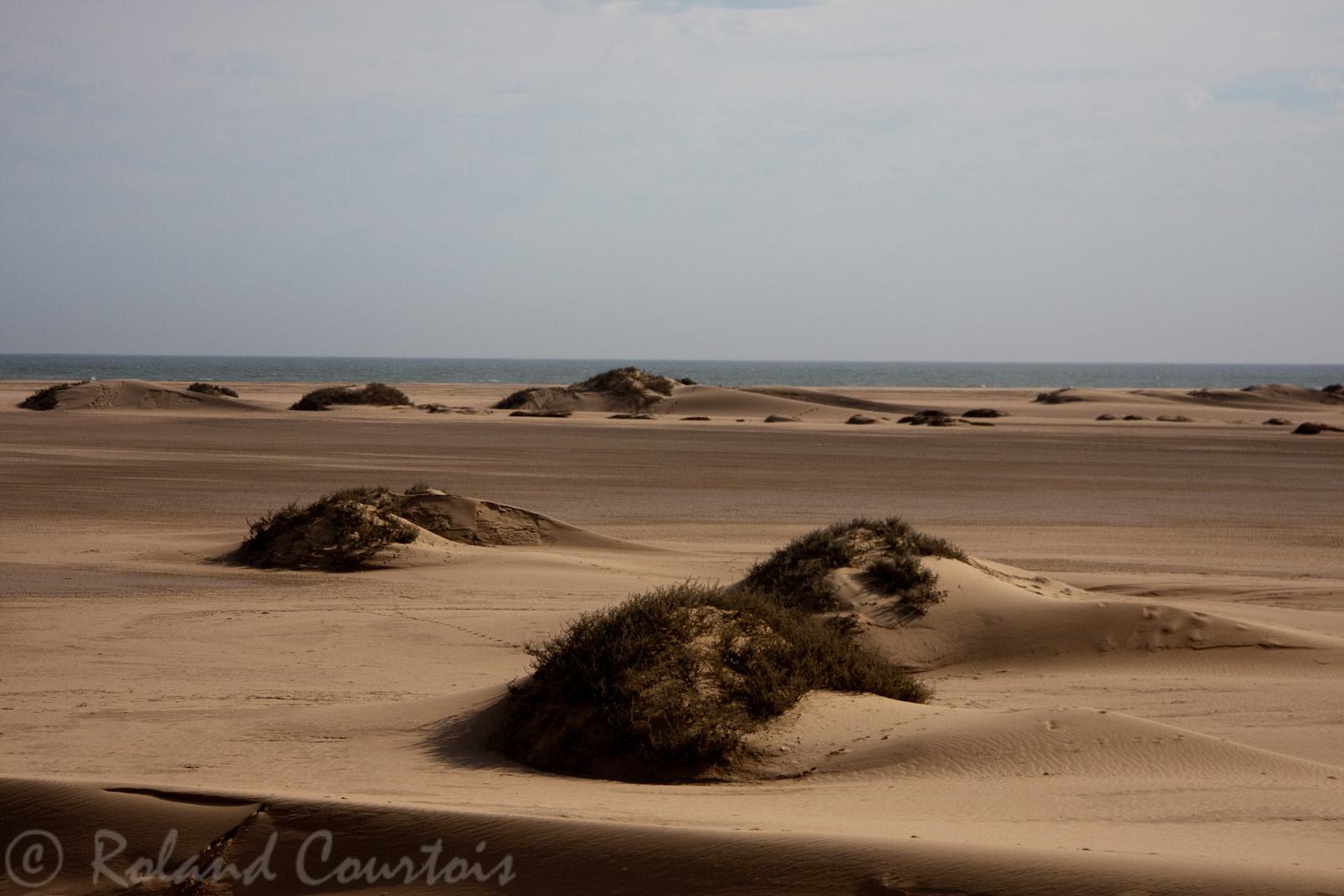 Dunes de sable du Namib.