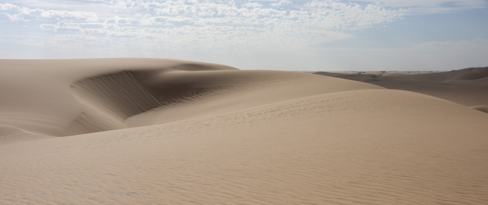Dunes de sable du Namib.