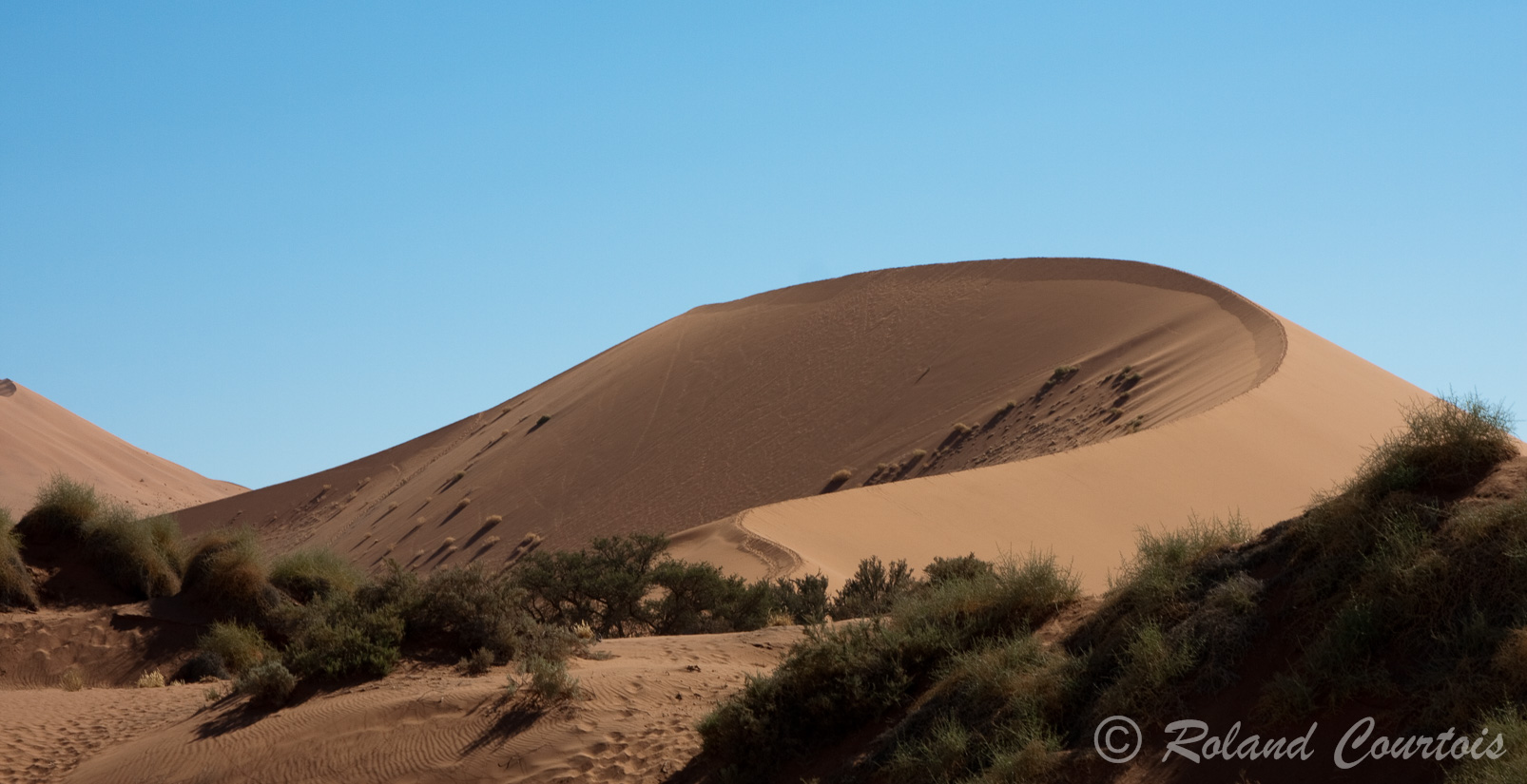 Sossusvlei, les plus hautes dunes d'Afrique.