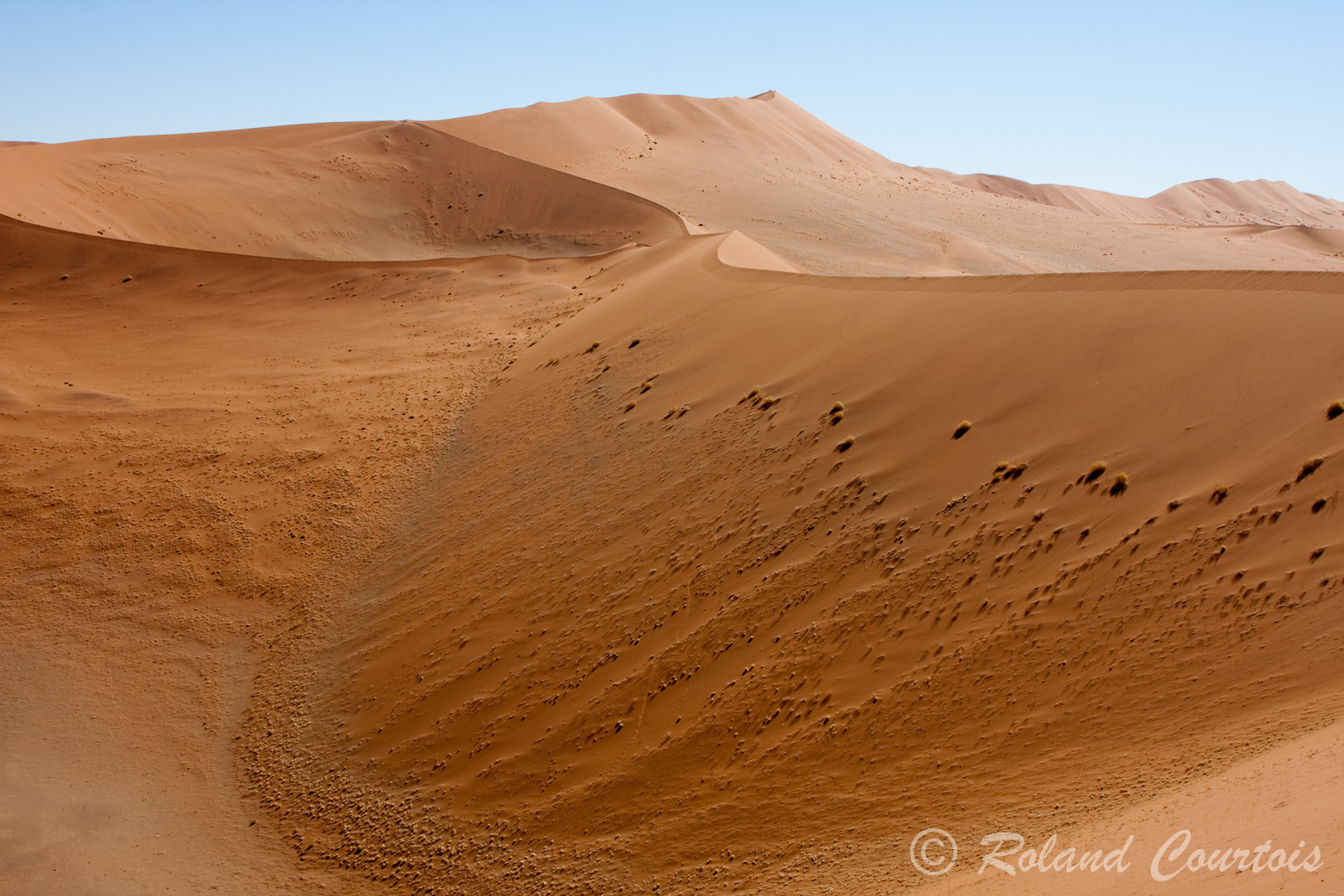 Sossusvlei, les plus hautes dunes d'Afrique.
