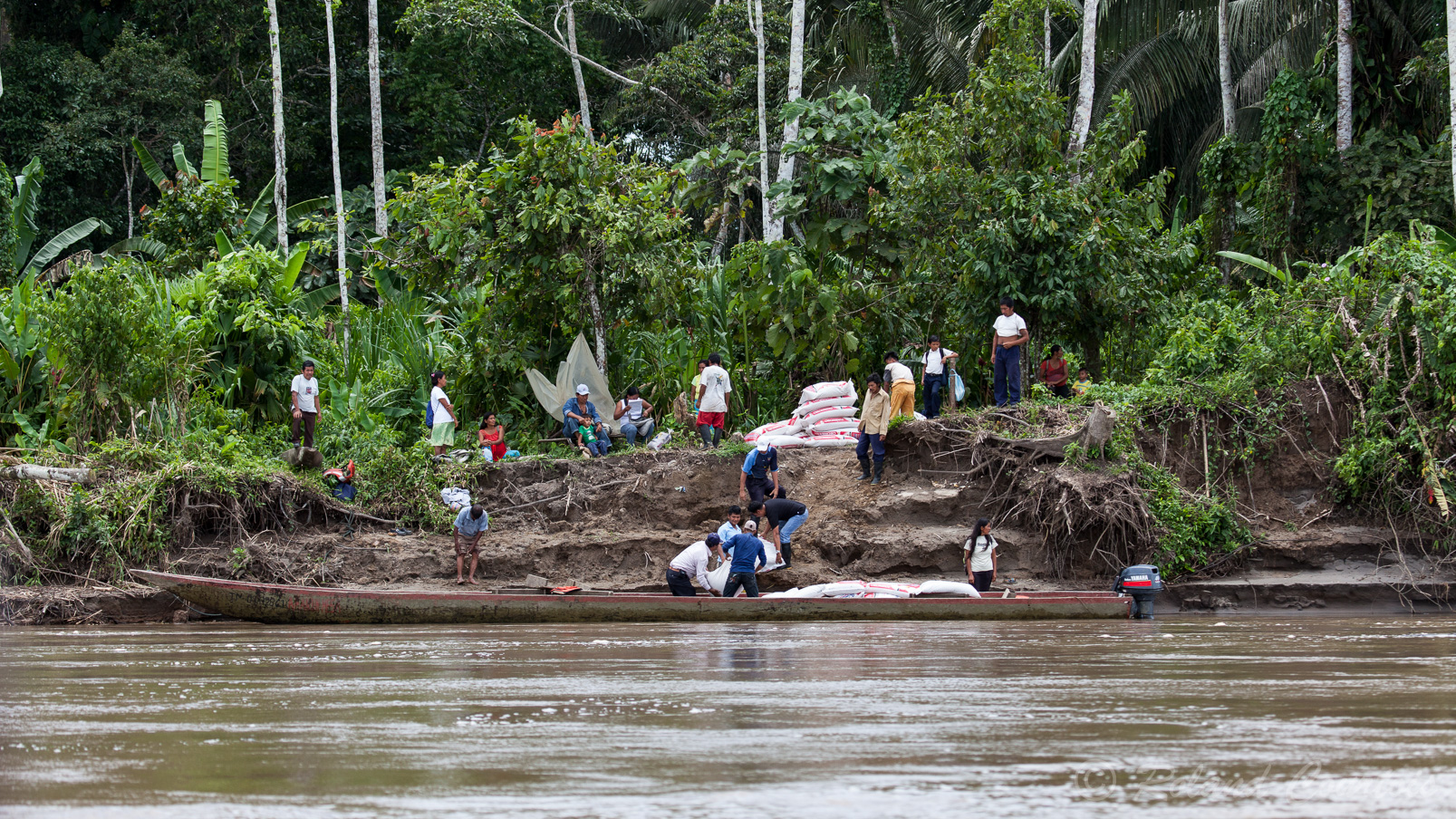 Tous les transports se font presqu'exclusivement par pirogue dans la région amazoniènne