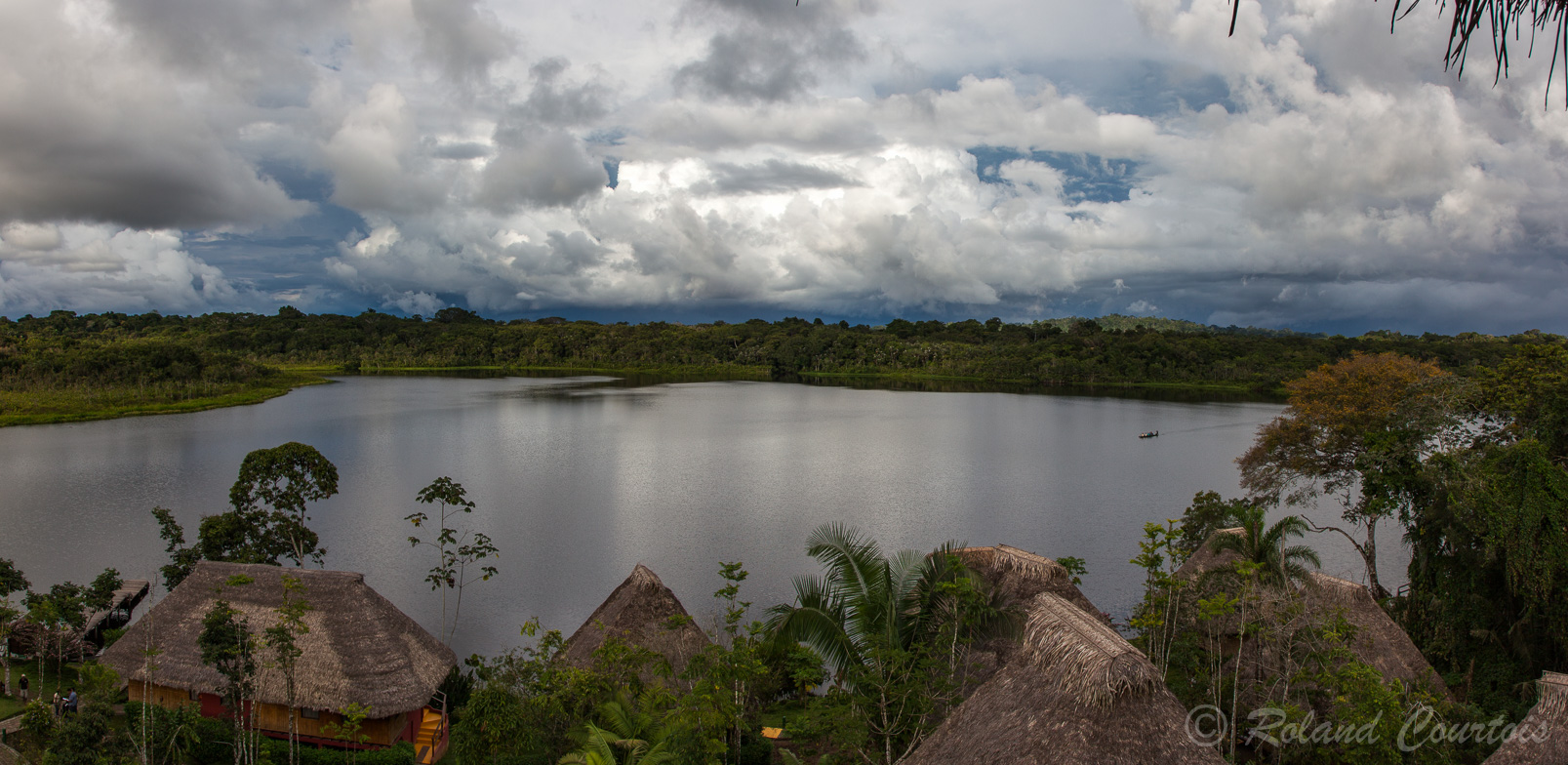 Vue sur le lac Anangucocha depuis le lodge Napo Wildlife Center