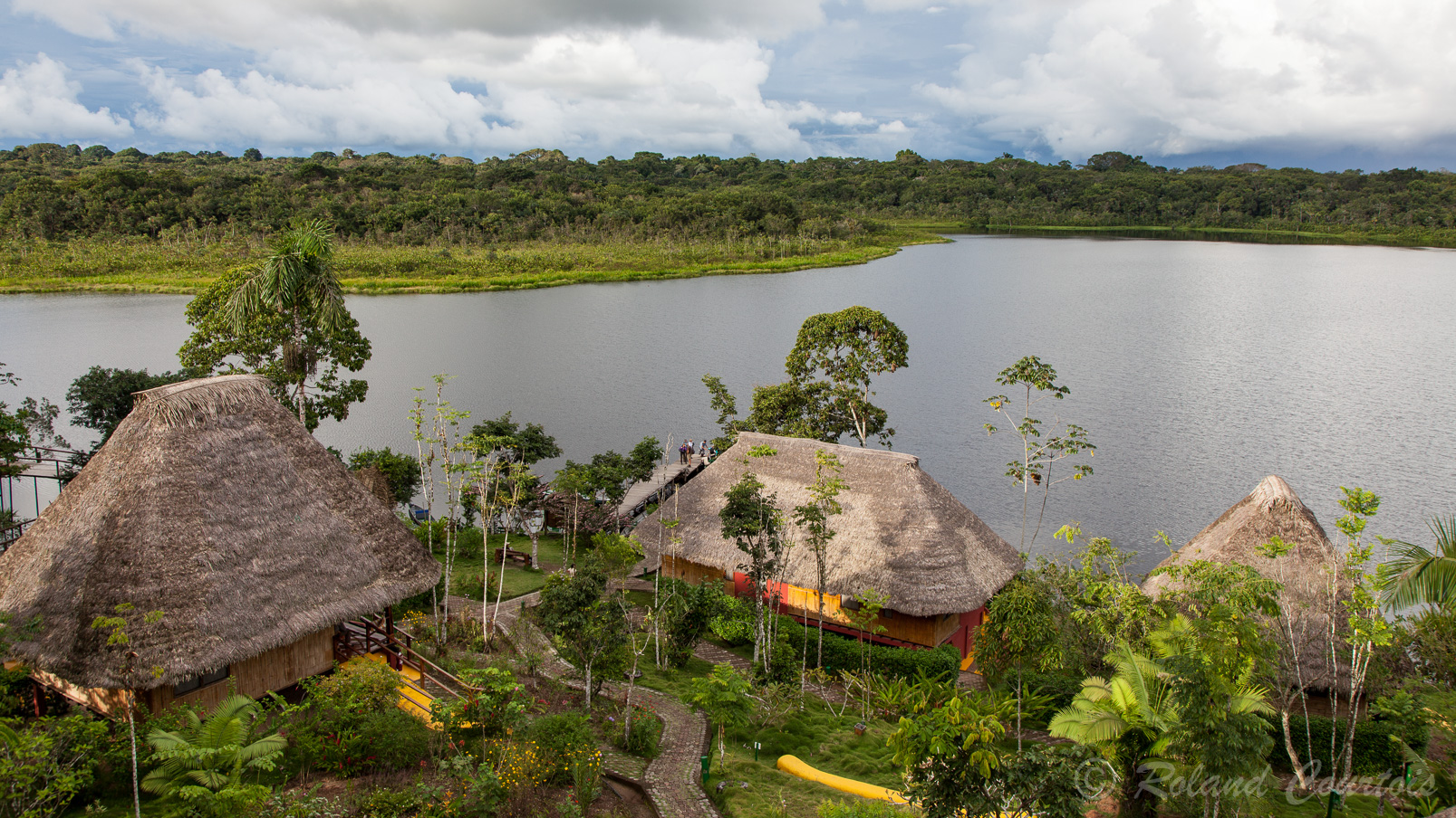 Vue sur le lac Anangucocha depuis le lodge Napo Wildlife Center