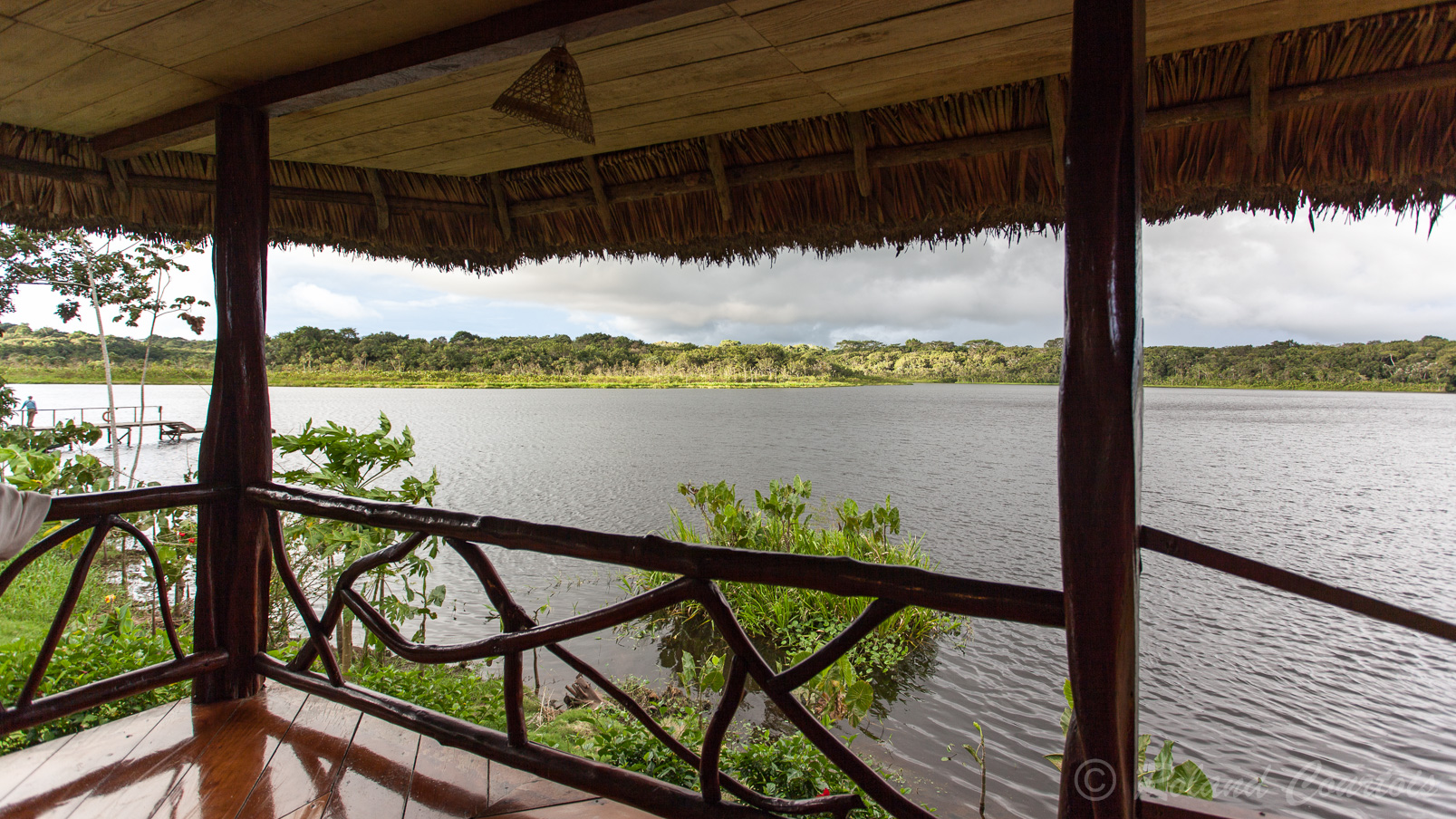 Vue sur le lac Anangucocha depuis une terrasse du lodge Napo Wildlife Center