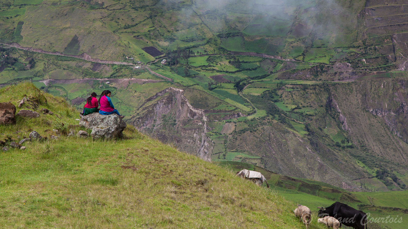 Gardiennes de troupeaux dans les Andes