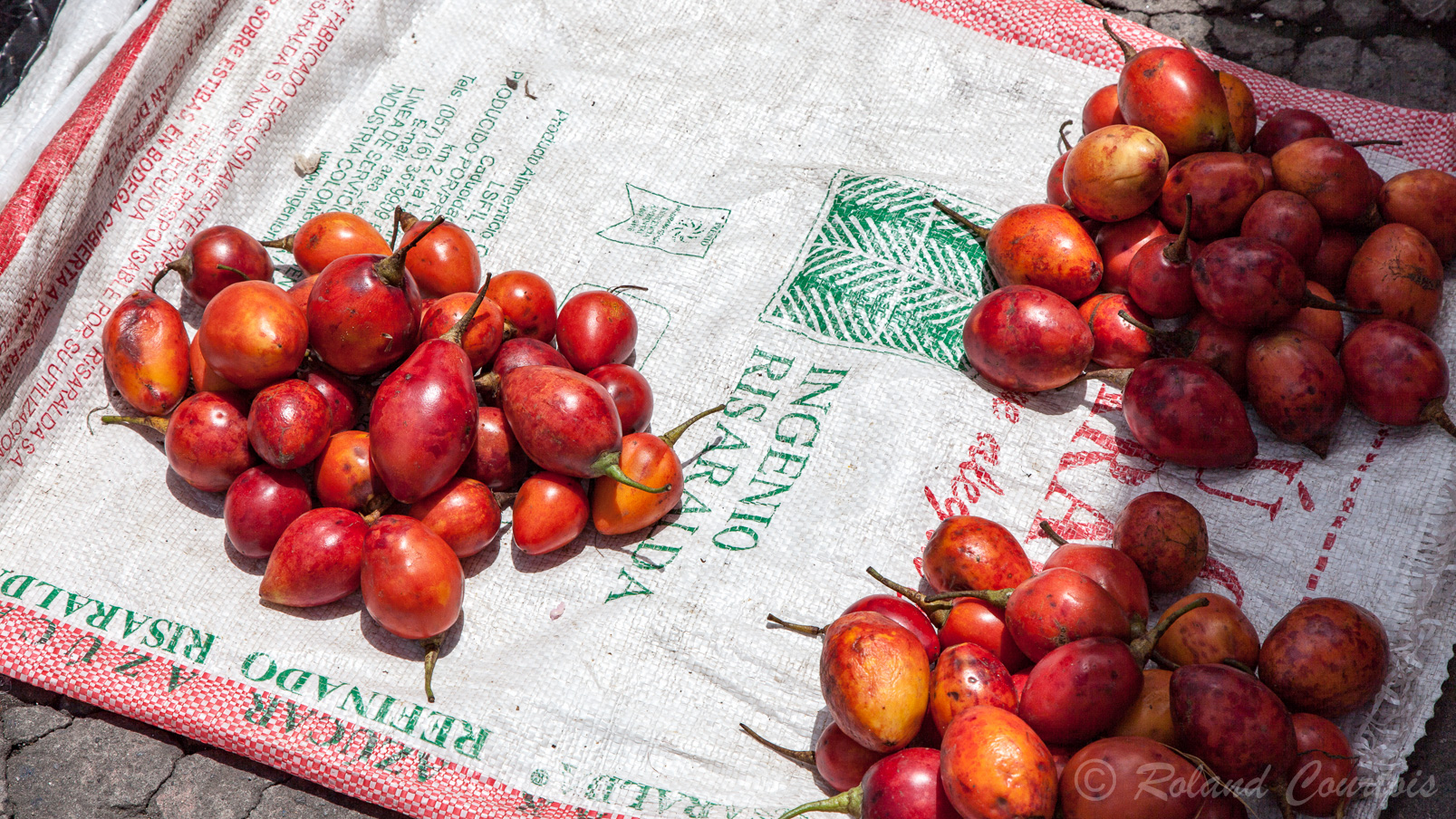 Marché d'Otavalo : Tomates d'arbre qui font d'excellents jus.