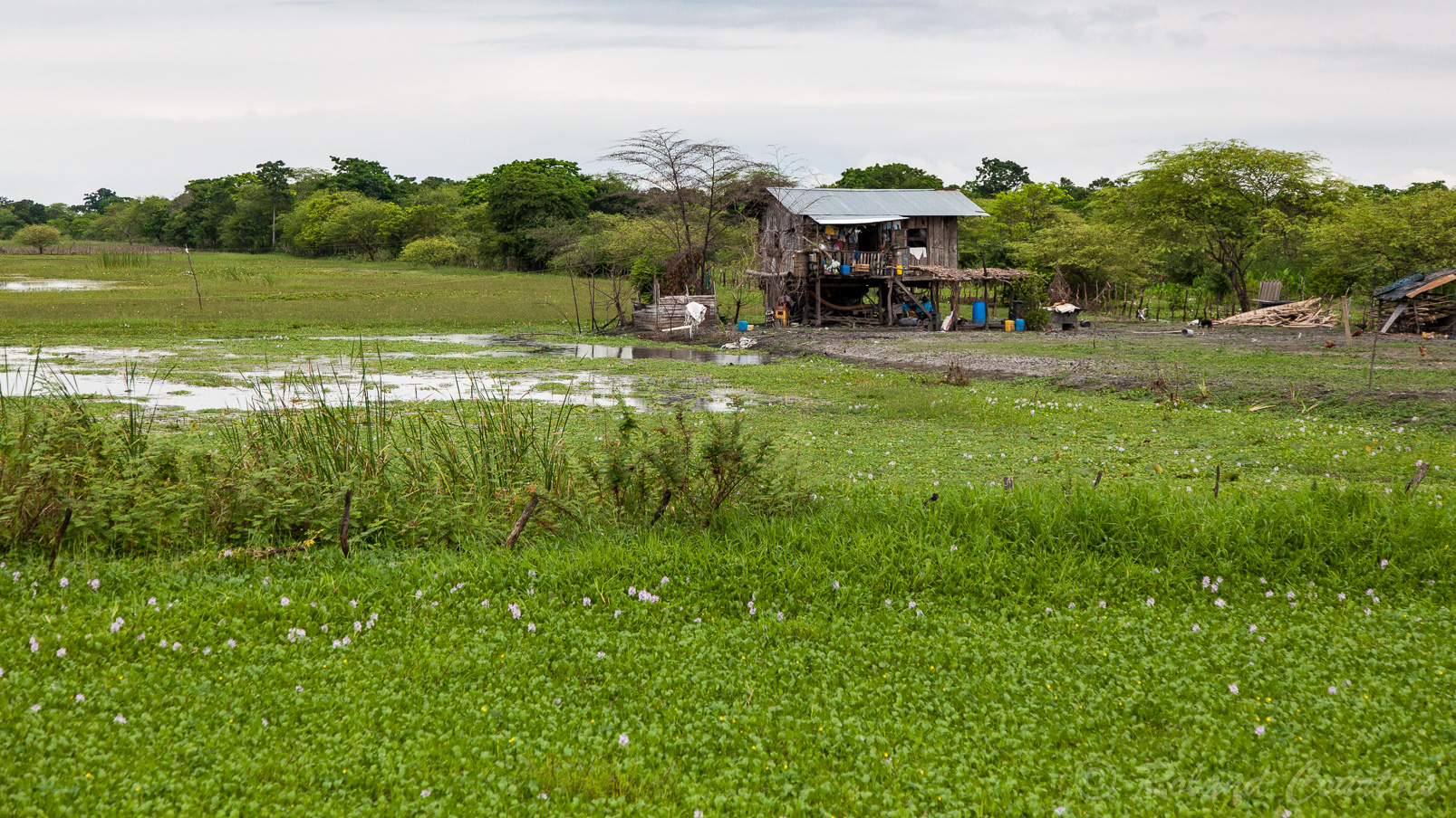 La région côtière de l'Equateur est très humide et la plupart des habitations sont construites sur pilotis.