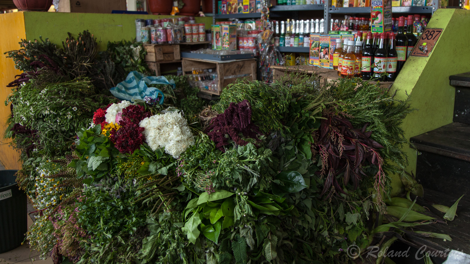 Vente de plantes médicinales au marché de Cuenca