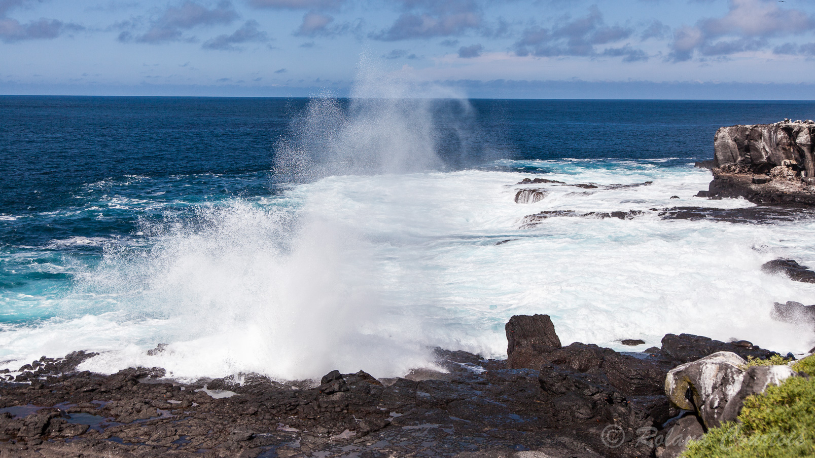 "Le trou souffleur" sur la côte basaltique de l'île Española. L'eau de mer est infiltrée violemment sous la couche de lave, puis éjectée par des fissures et vaporisée brutalement à une hauteur de 25m.