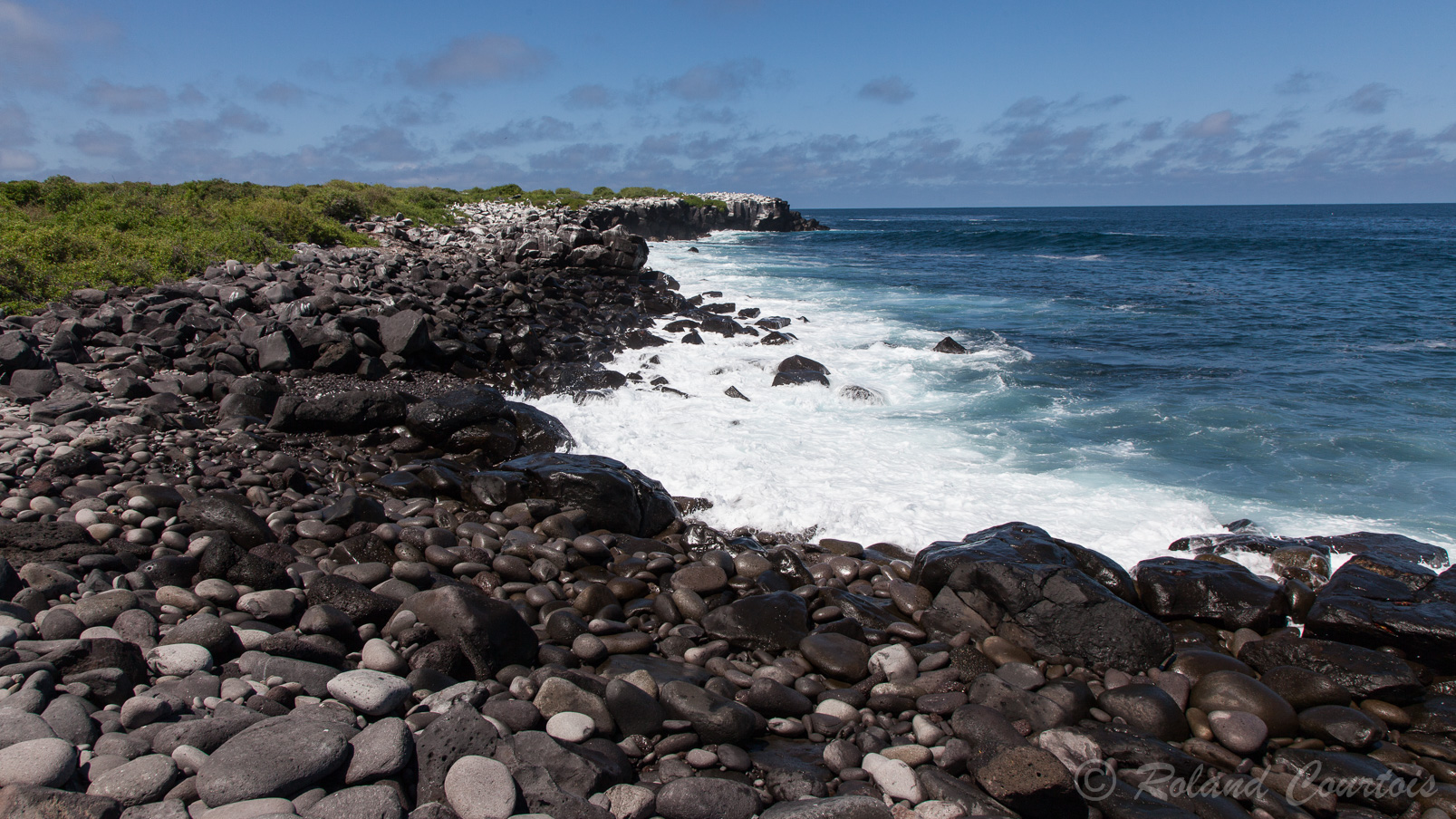 L'océan Pacifique se fracasse sur les roches basaltiques de l'île de Española