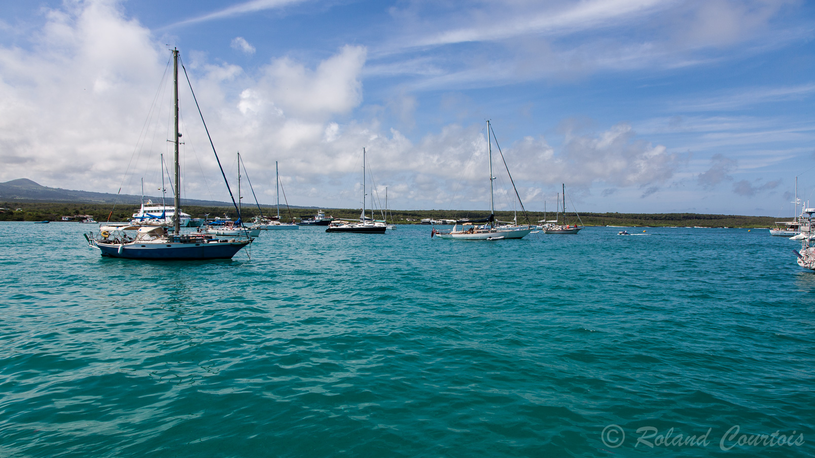 Dans la baie de Puerto Ayora, ville principale de l'ile Sanrta Cruz,  flotille de bateaux attendant le touriste.