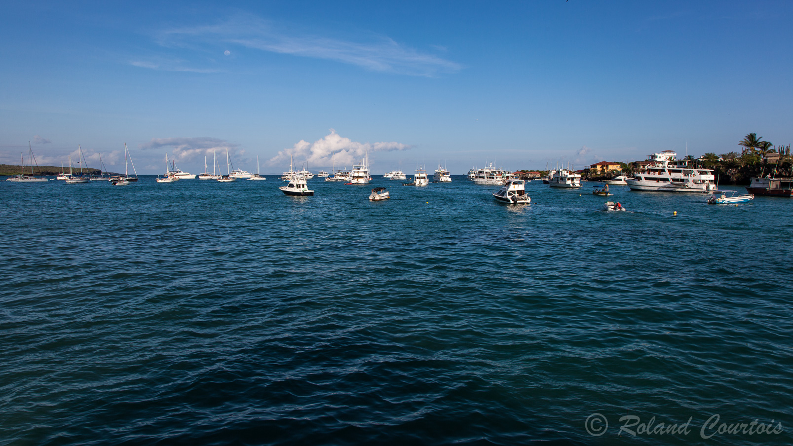 Flotille de bateaux attendant les touristes en baie de Puerto Ayora.