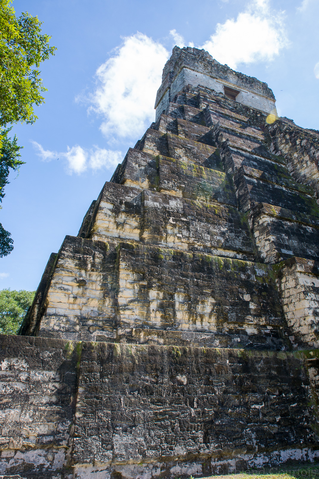 Temple du Grand Jaguar  (47 mètres de haut)
