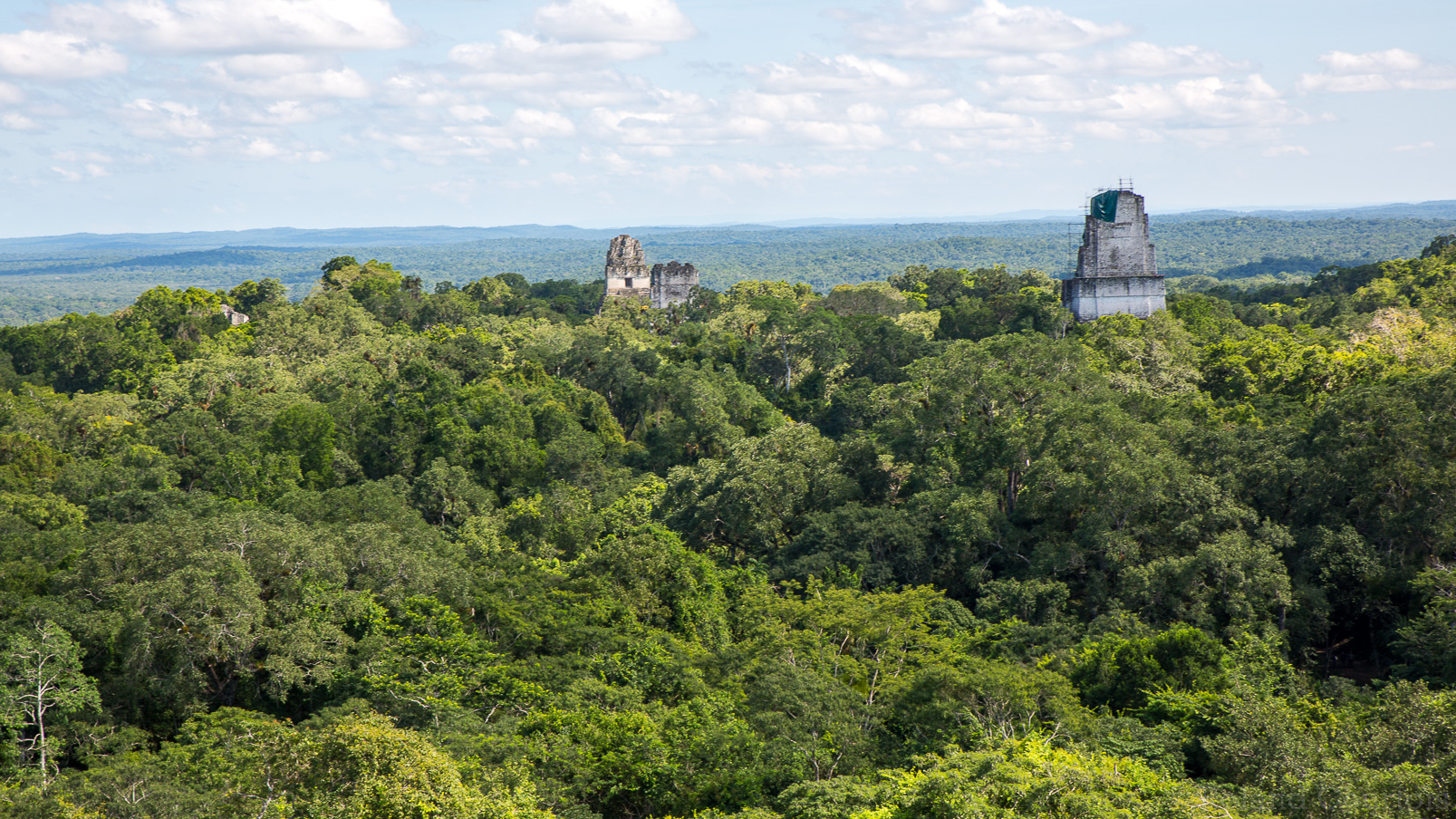 Tikal :les plus grands temples émergent de la végération.