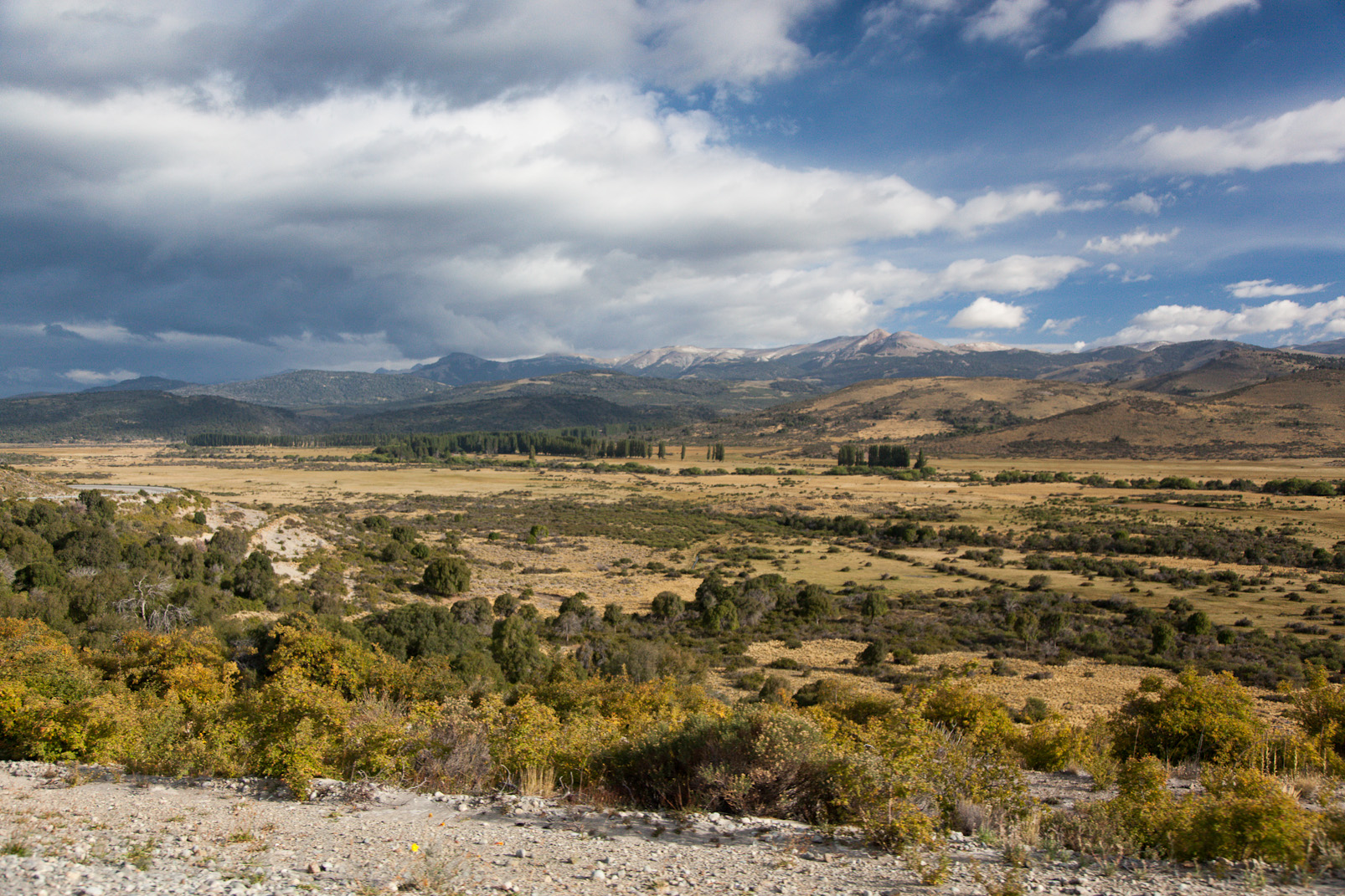 La pampa argentine proche de la Cordillière des Andes.