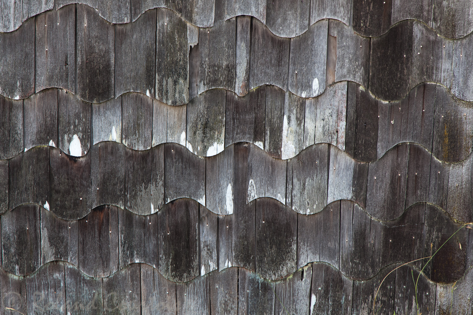 Couverture carractéristique en plaquettes de bois des façades