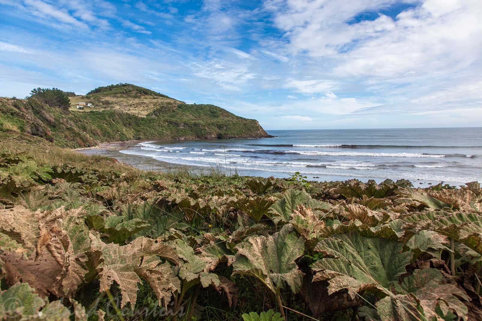 Plage sur la côte Pacifique.