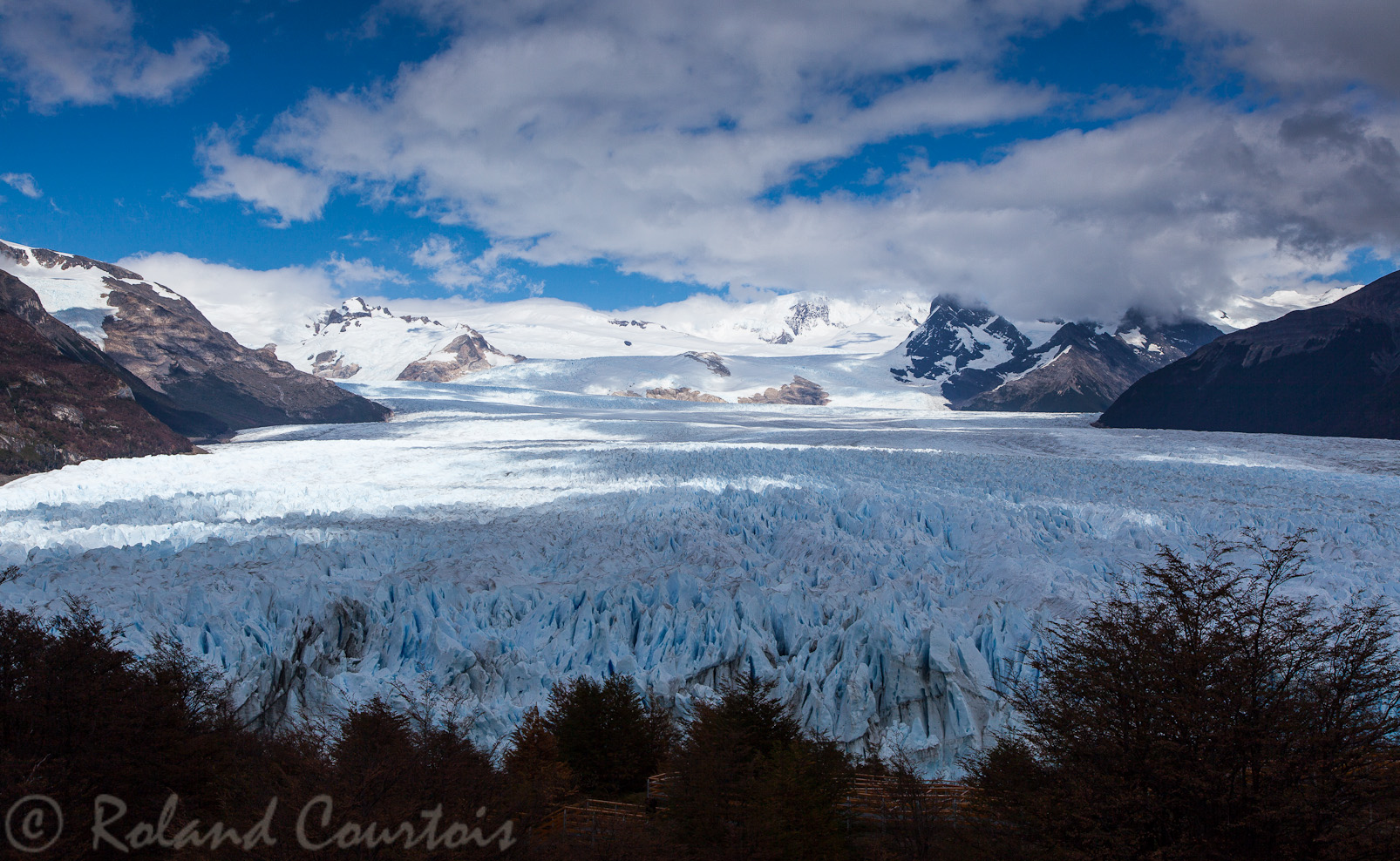 Glacier Perito Moreno vu de la colline d'en face.