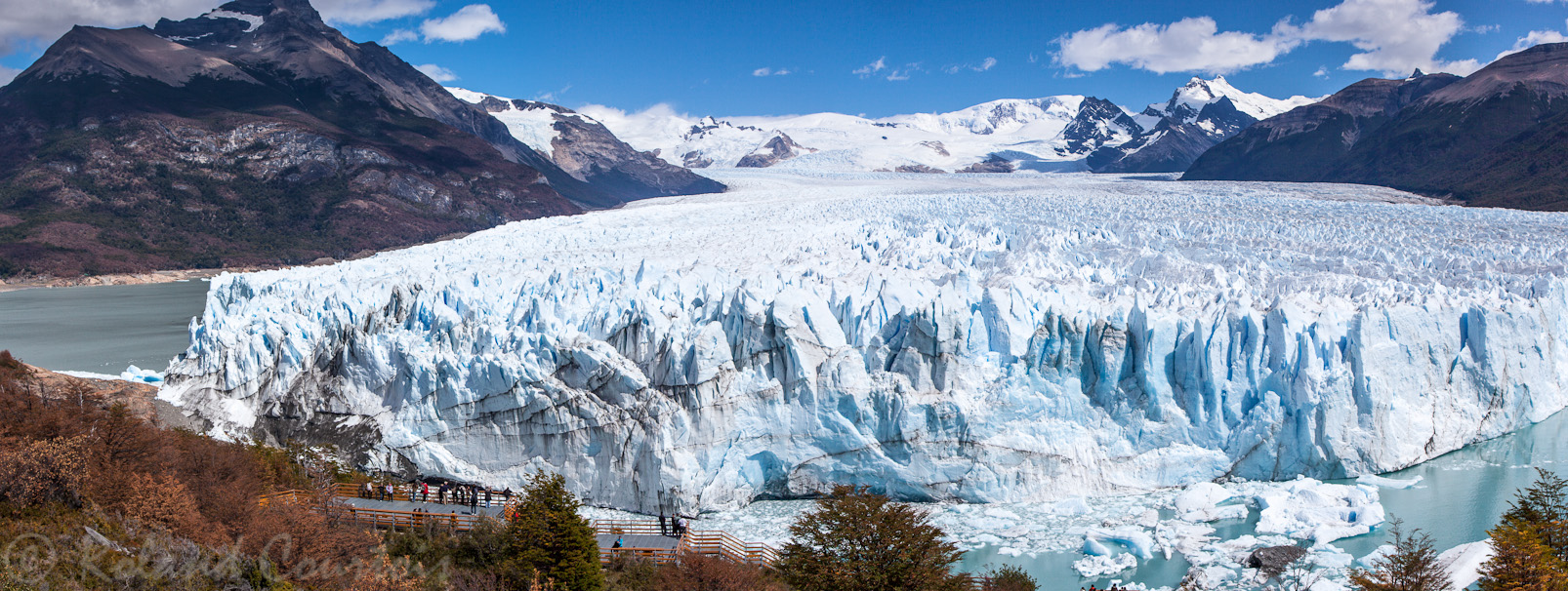 Glacier Perito Moreno. En avancant le front du glacier atteint la rive d'en face et sépare le lac en deux parties.