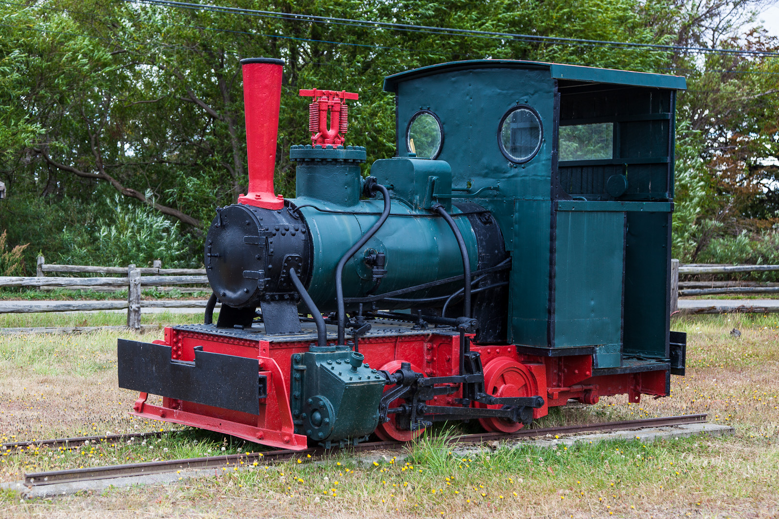 Institut patagonique: une locomotive à vapeur.