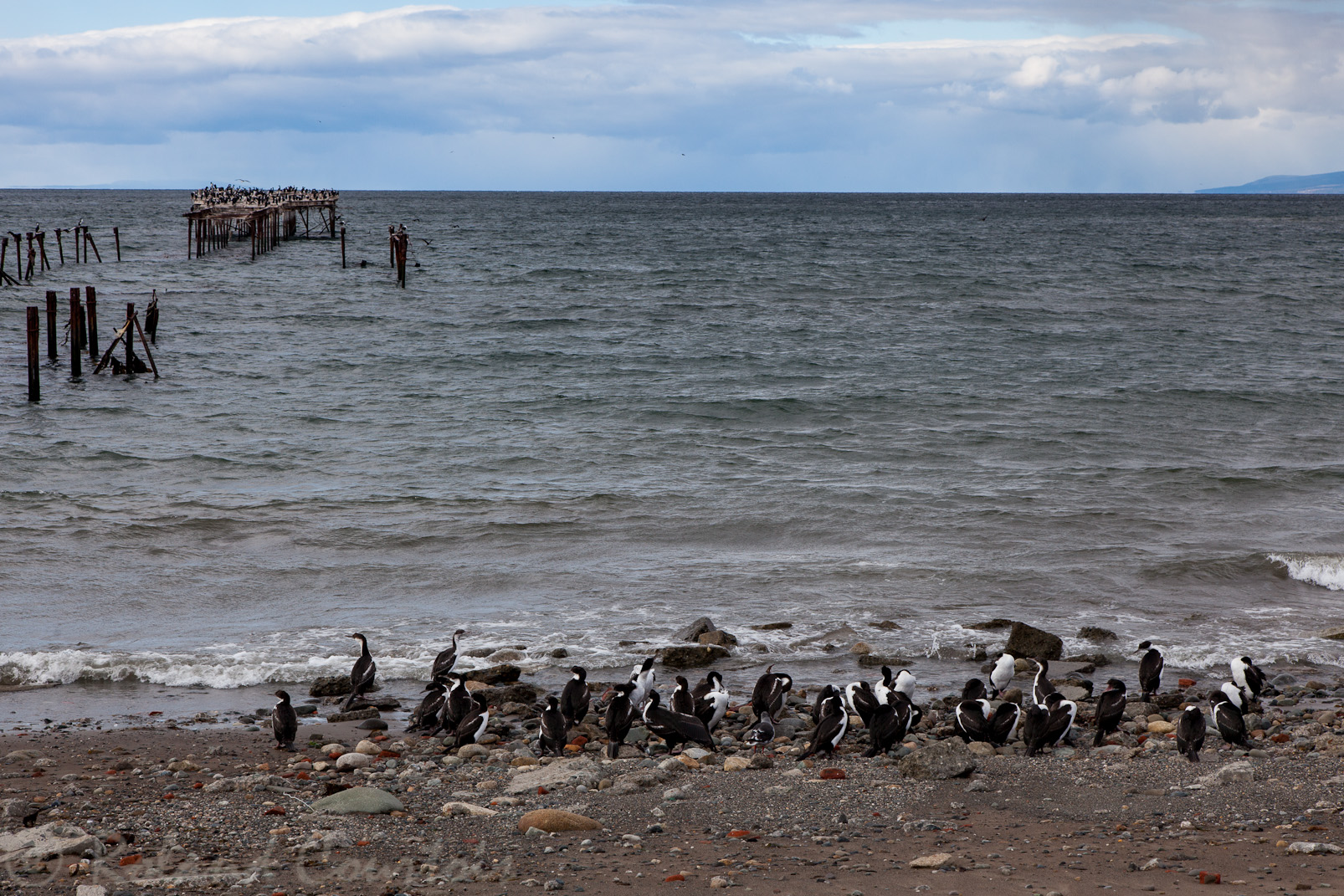 Port de Punta Arenas et les anciennes jetées qui permettaient de charger le minerai de charbon
