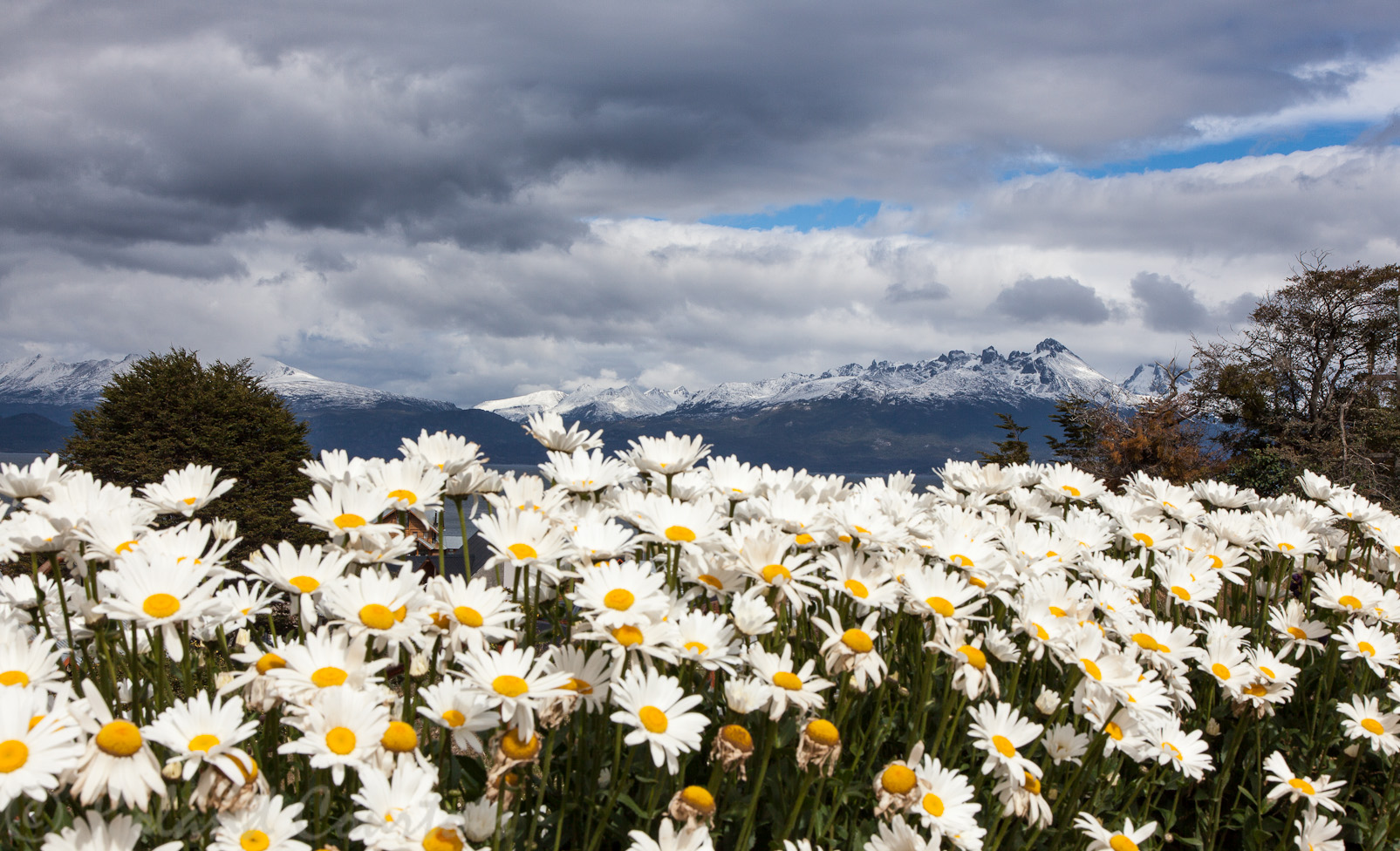 L'été à Ushuaïa, la ville la plus australe de la terre.
