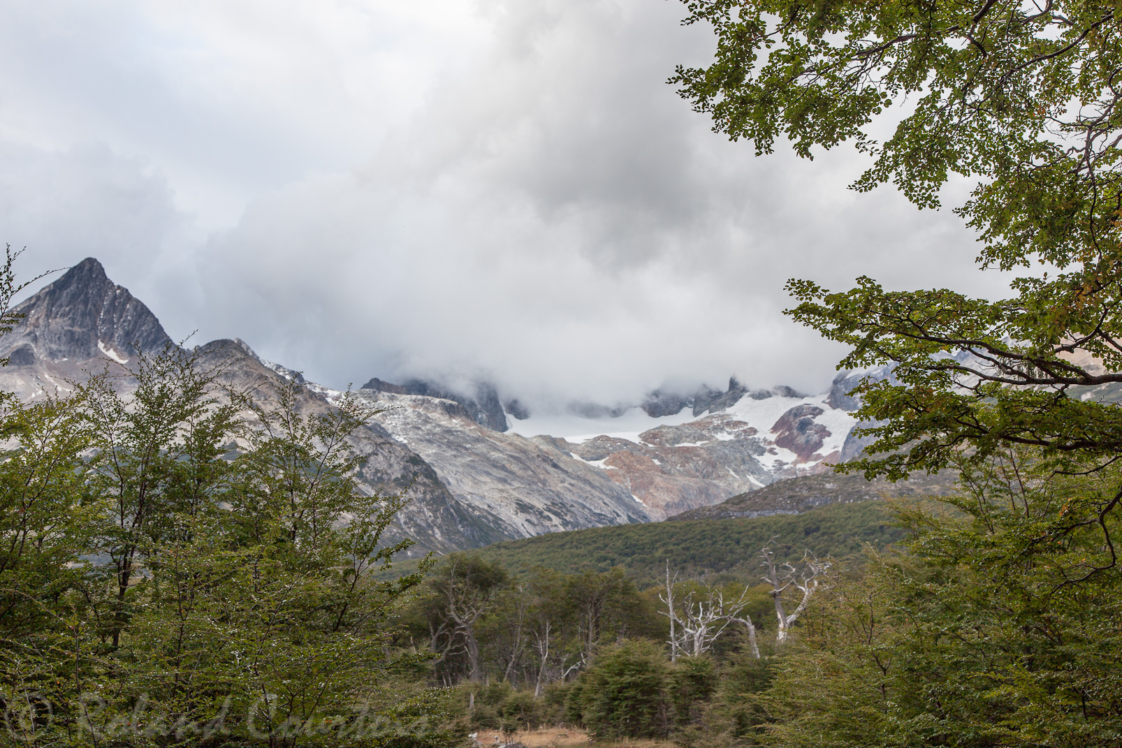 Dans le Parc National Tierra del Fuego.
