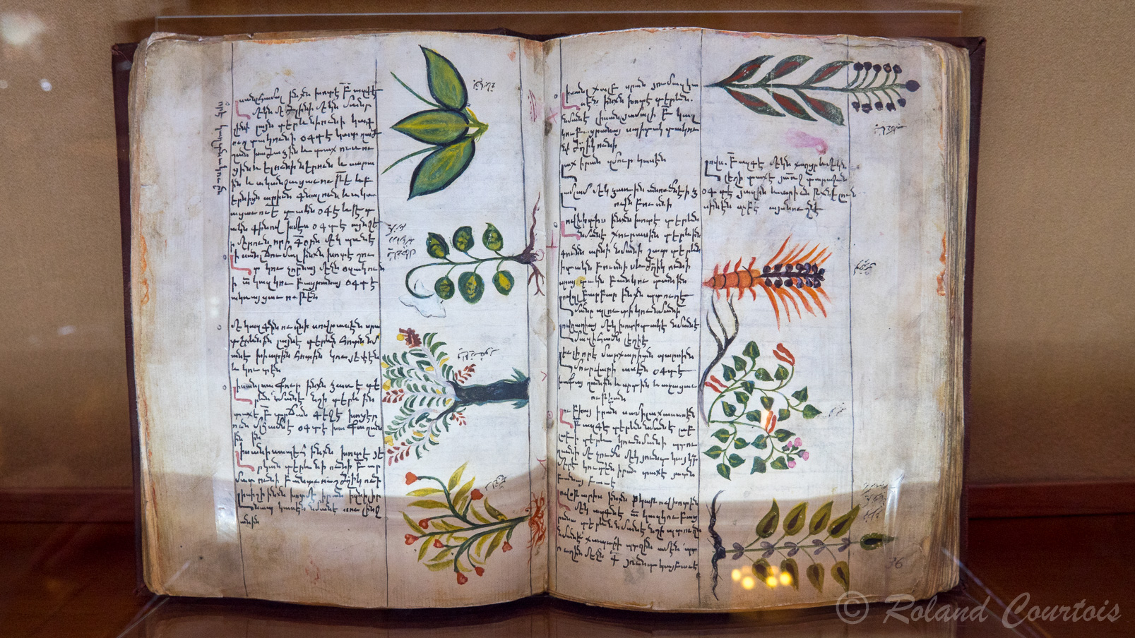 Maténadaran, institut des manuscrits anciens. Livre d'herbes médicinales.
