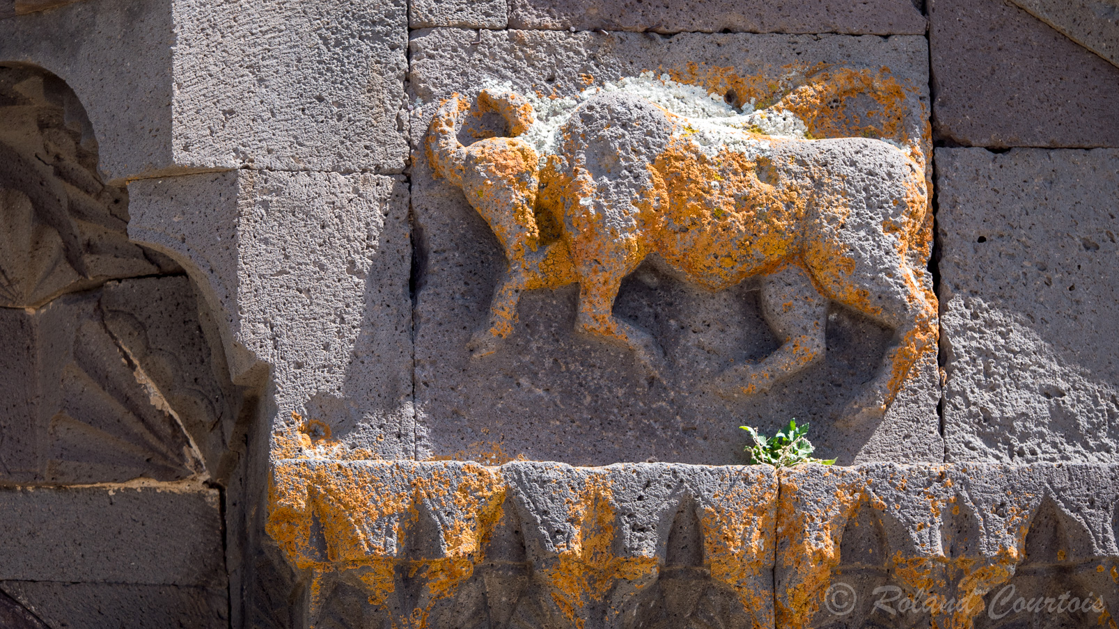 Caravansérail de Sélim. Sur la façade un taureau et un animal un peu mythique queue en forme de serpent.
