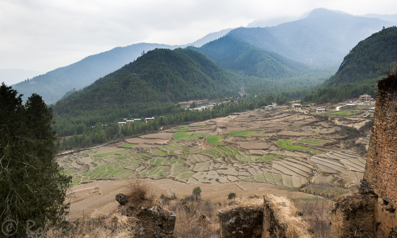Vue sur des rizières dans la vallée de Paro.